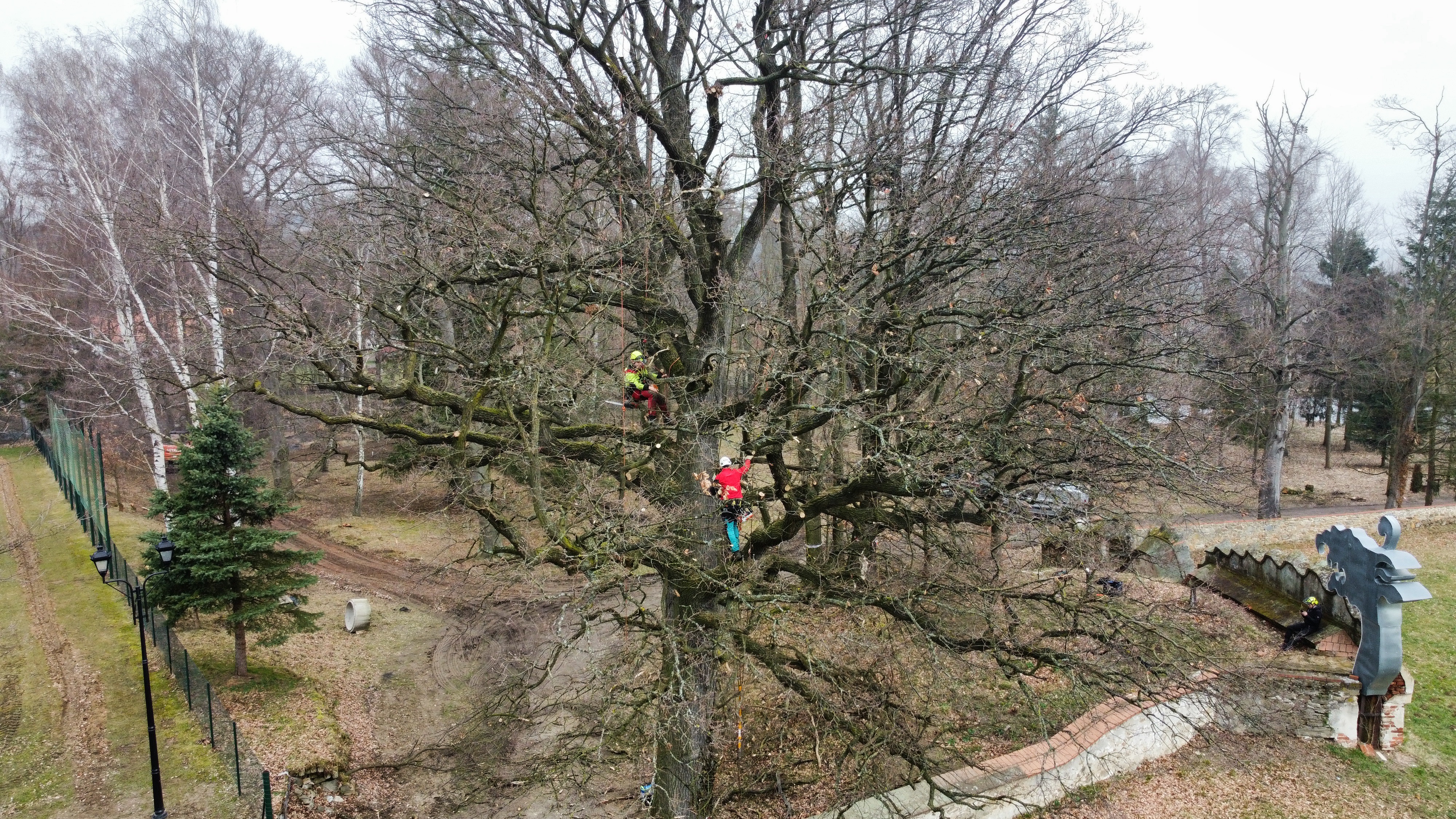 Arboristika - Ing. Uchytil Vojtěch foto 6