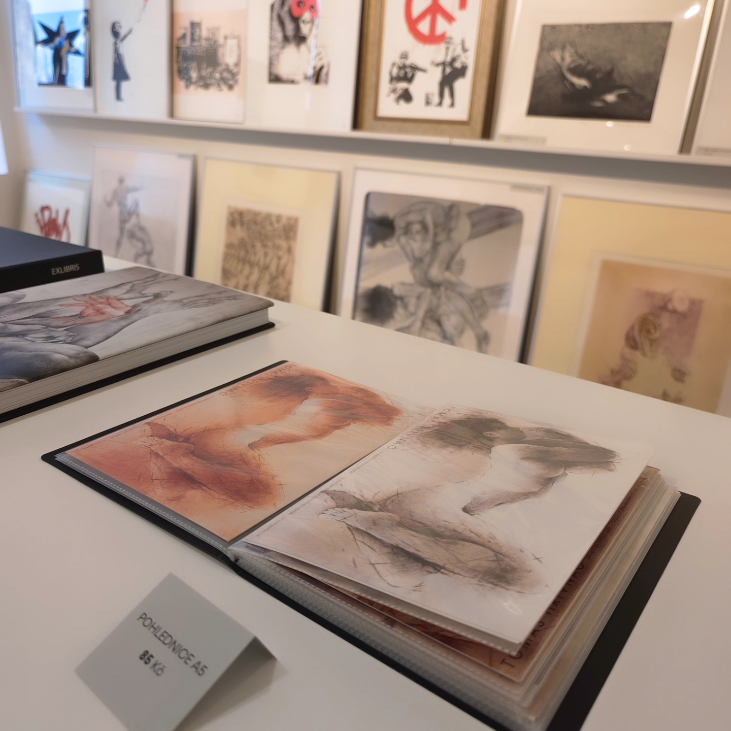 Česká galerie moderního umění foto 4