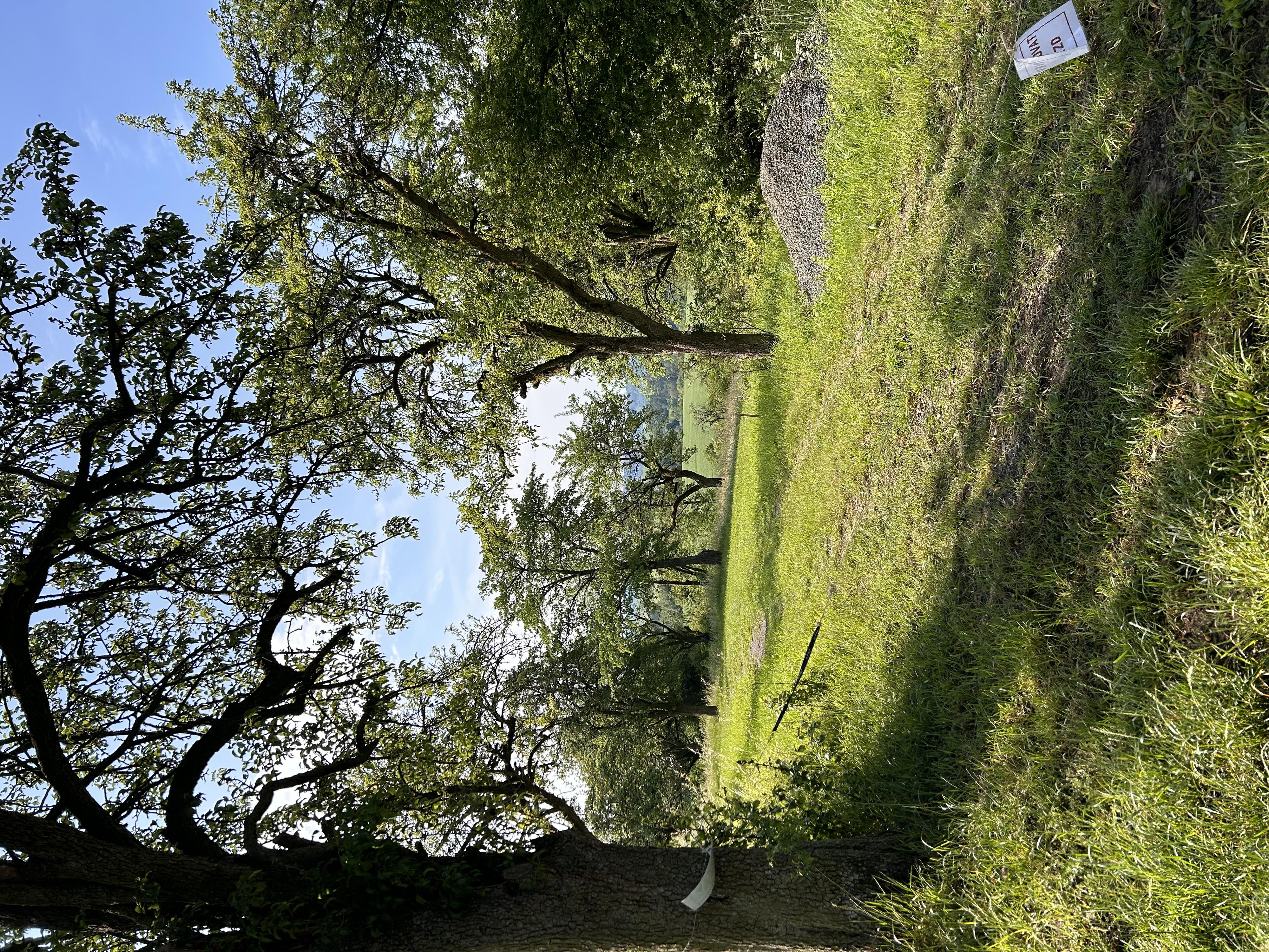 BezKempu U Dančí obory foto 5