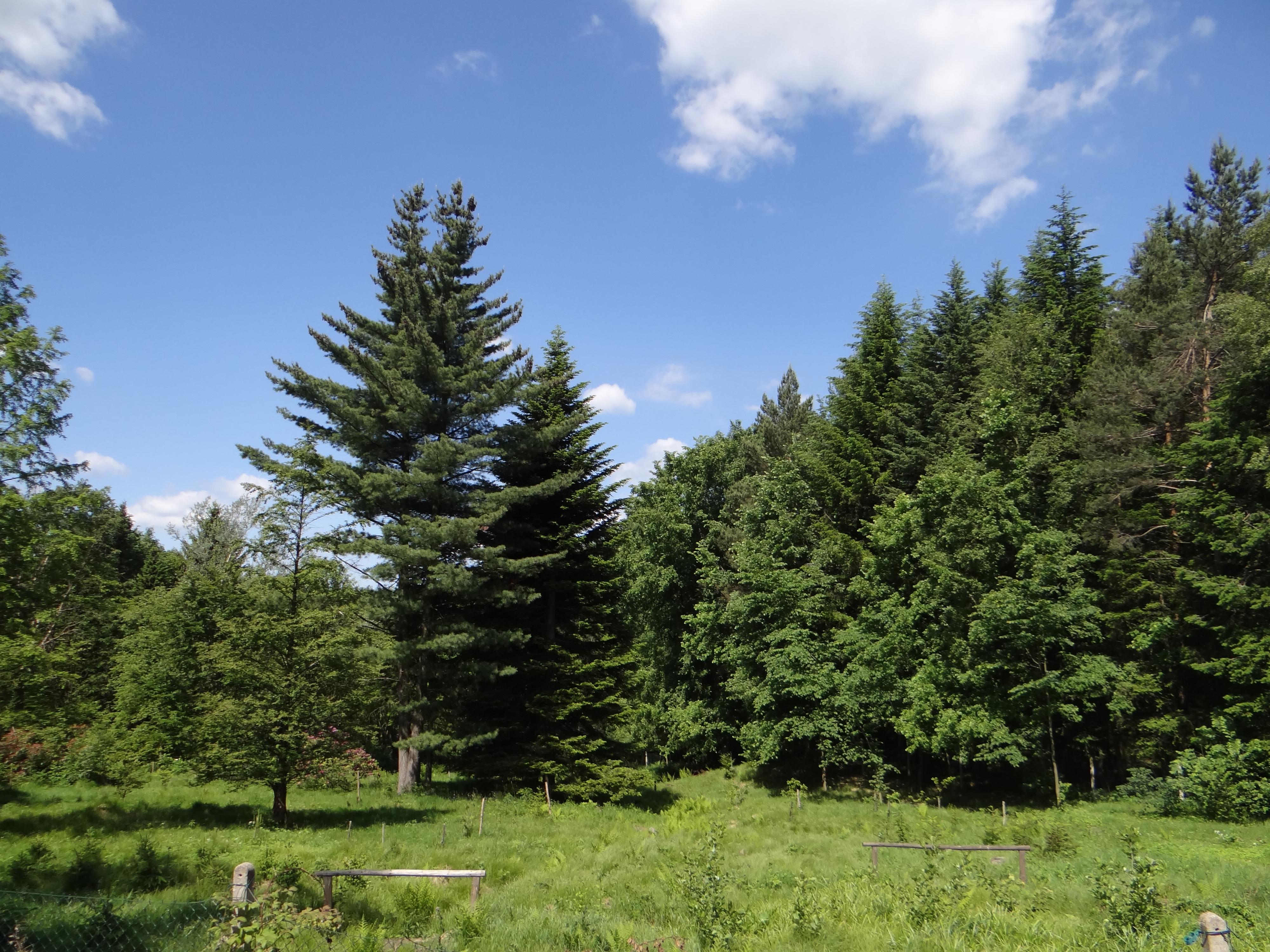 Arboretum foto 3