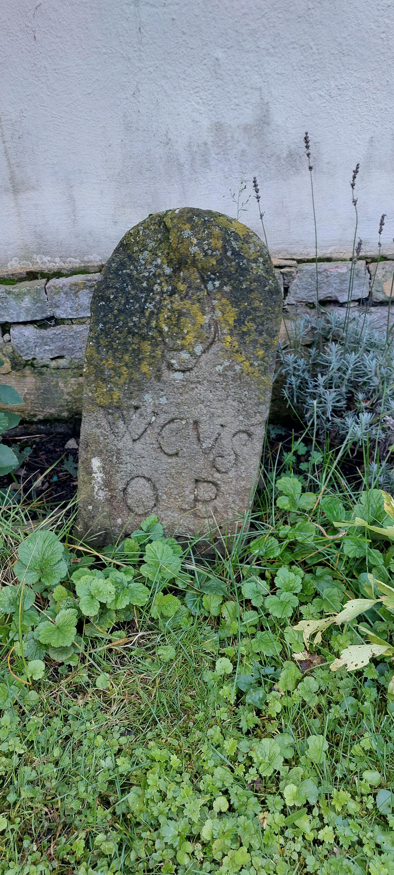 Městské muzeum a galerie ve Svitavách foto 4