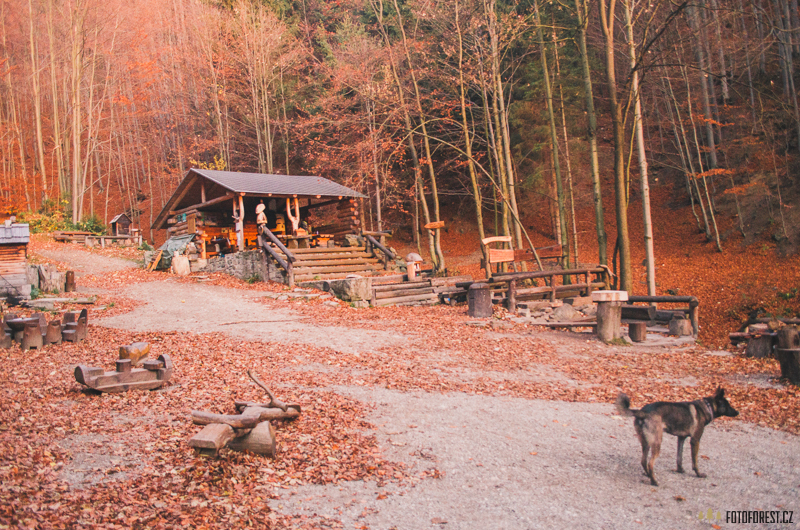 Lesní bar Lipová-lázně foto 2