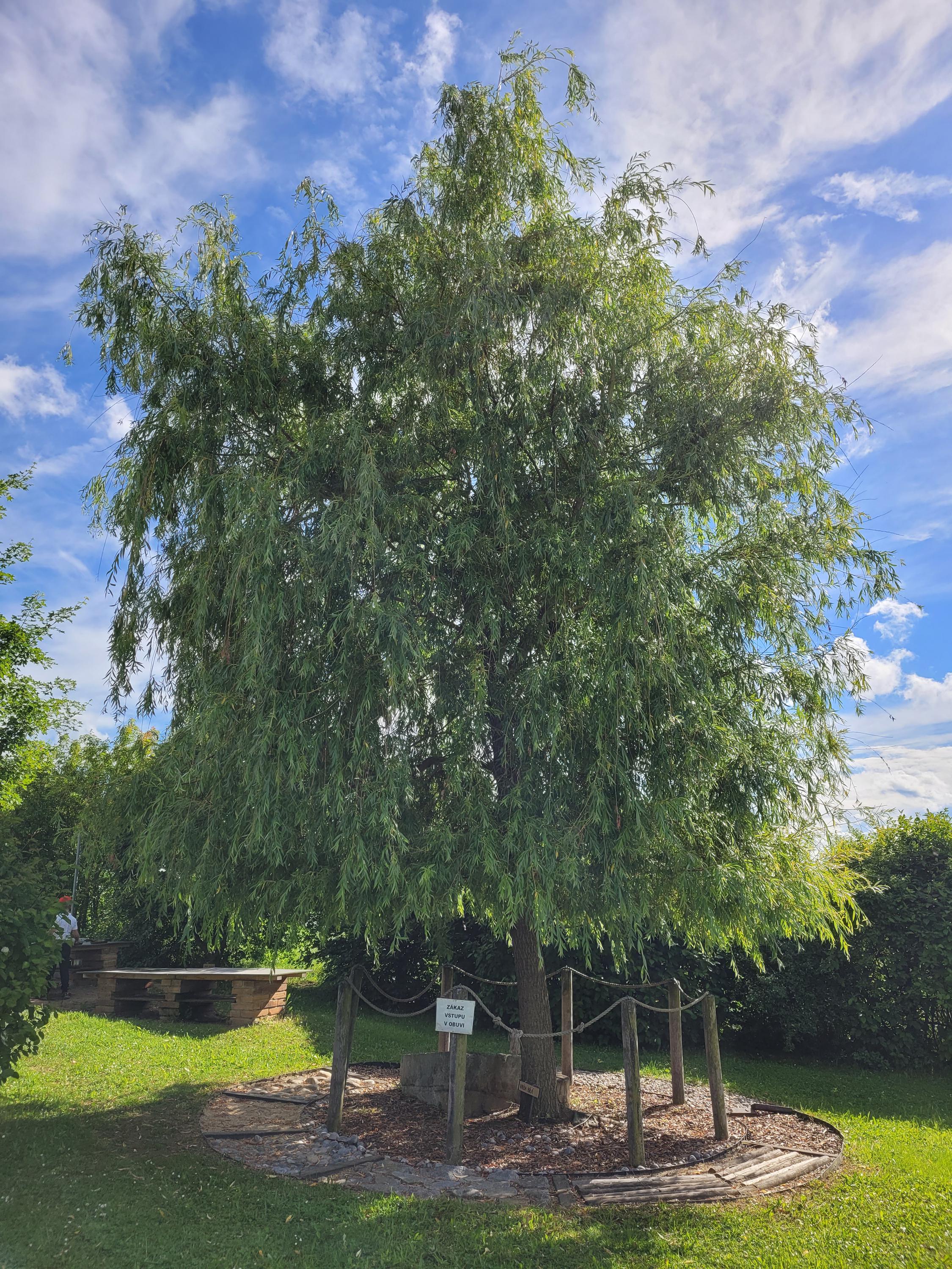 Mateřská škola Borovany foto 3