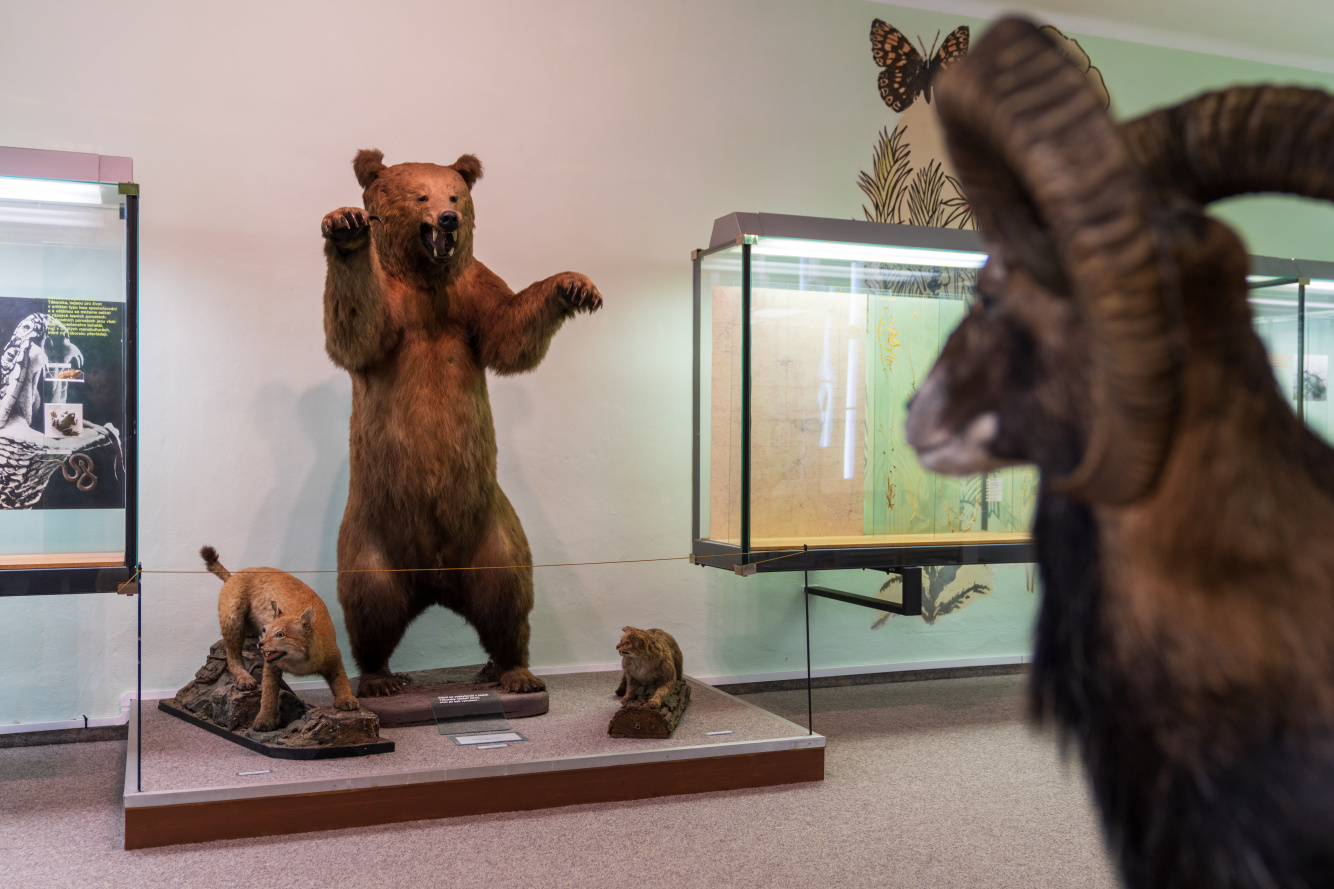 Blatské muzeum Rožmberský dům foto 4