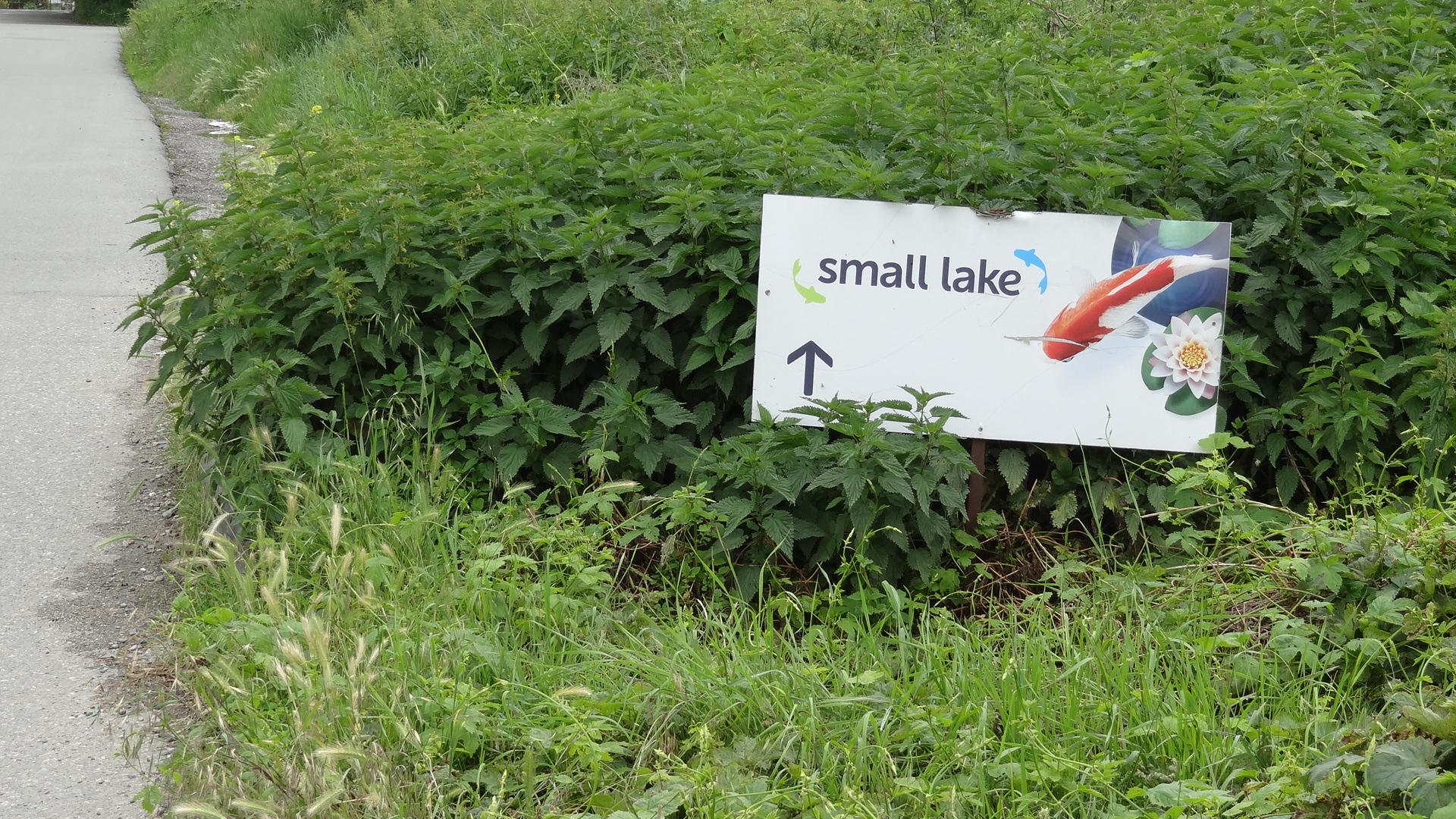 Small lake - zavlažovací systémy a jezírka foto 2