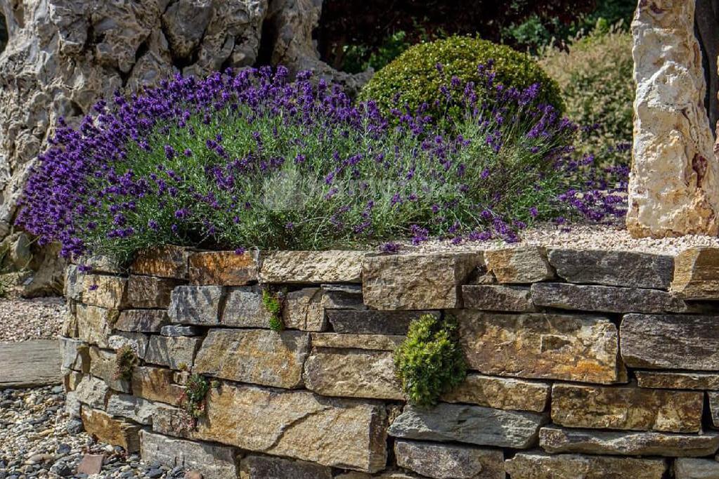 Postavte si kamennou zídku