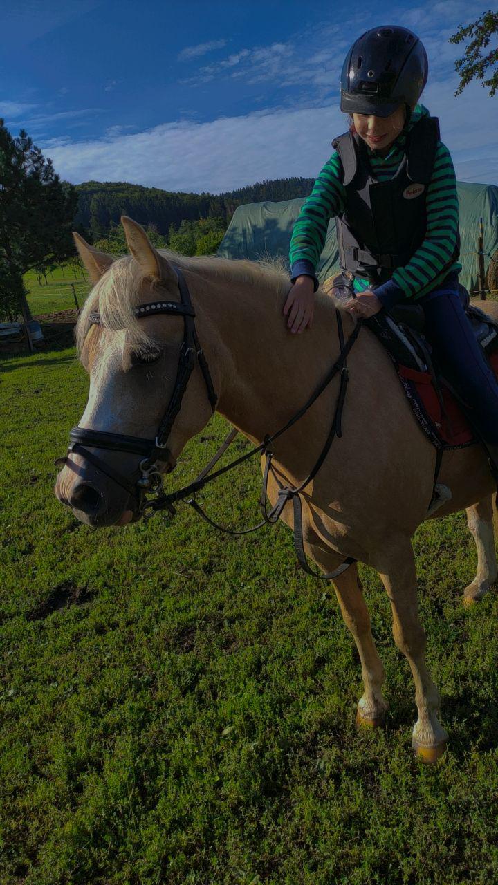 ATOS - jezdecká stáj z.s. foto 5