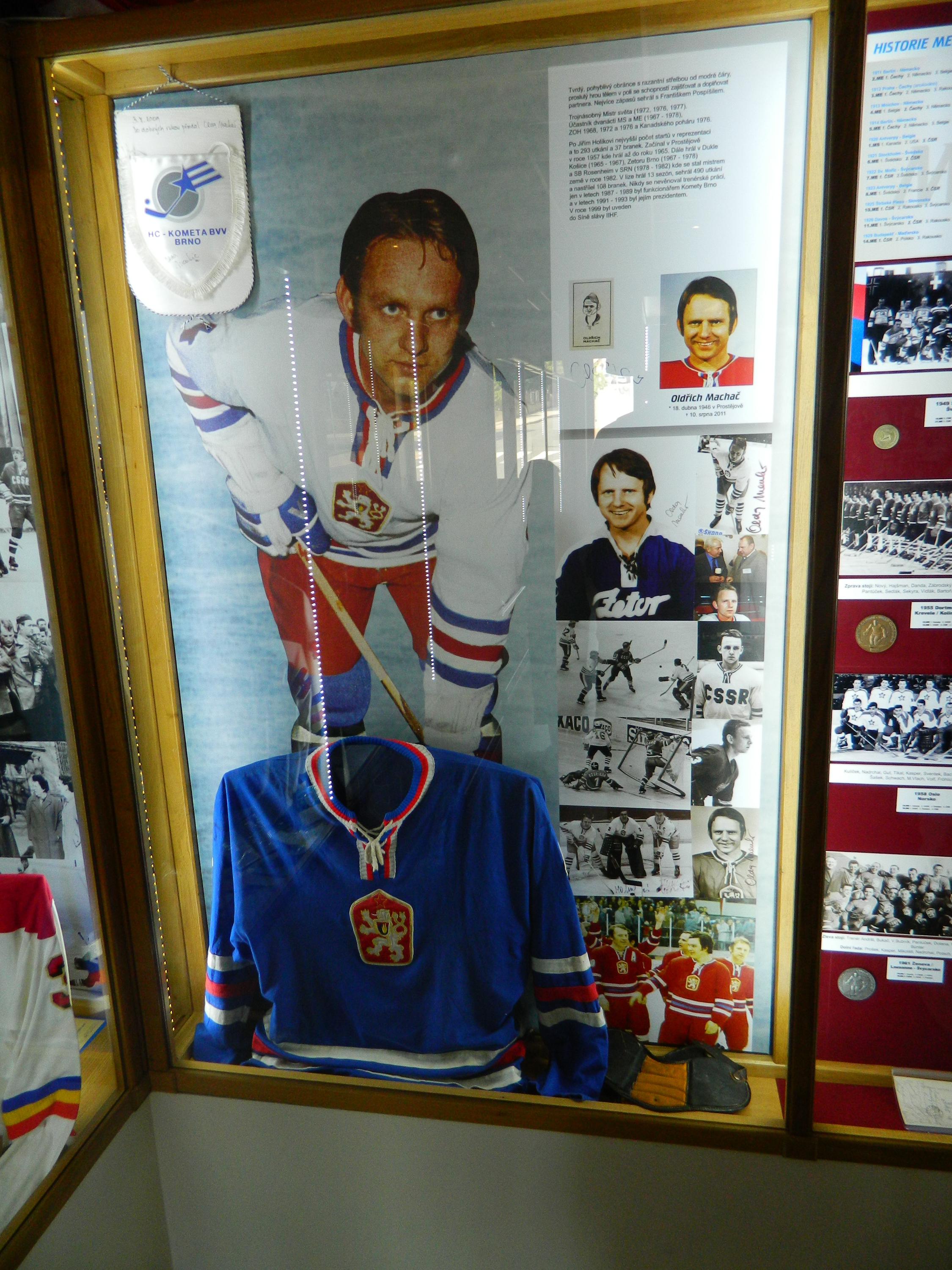 Hokejová síň - Hošek