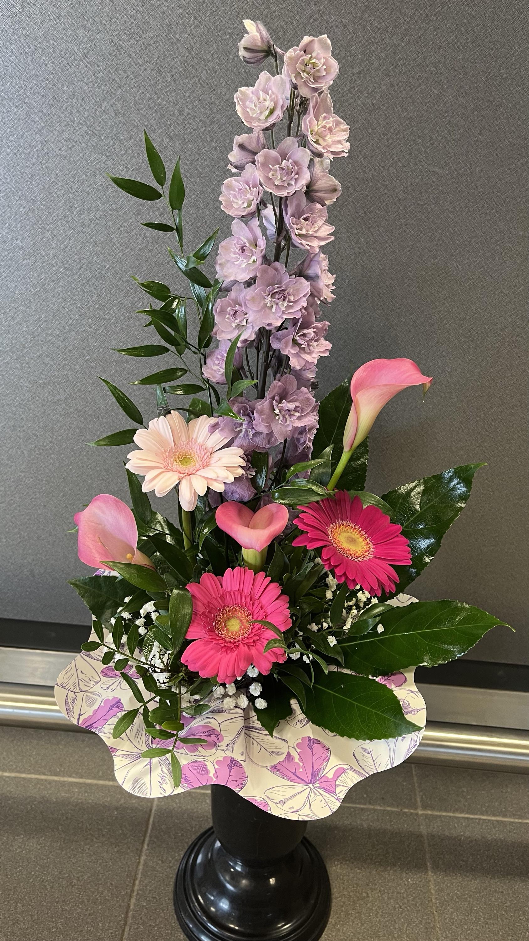 Květiny Chrpa foto 5