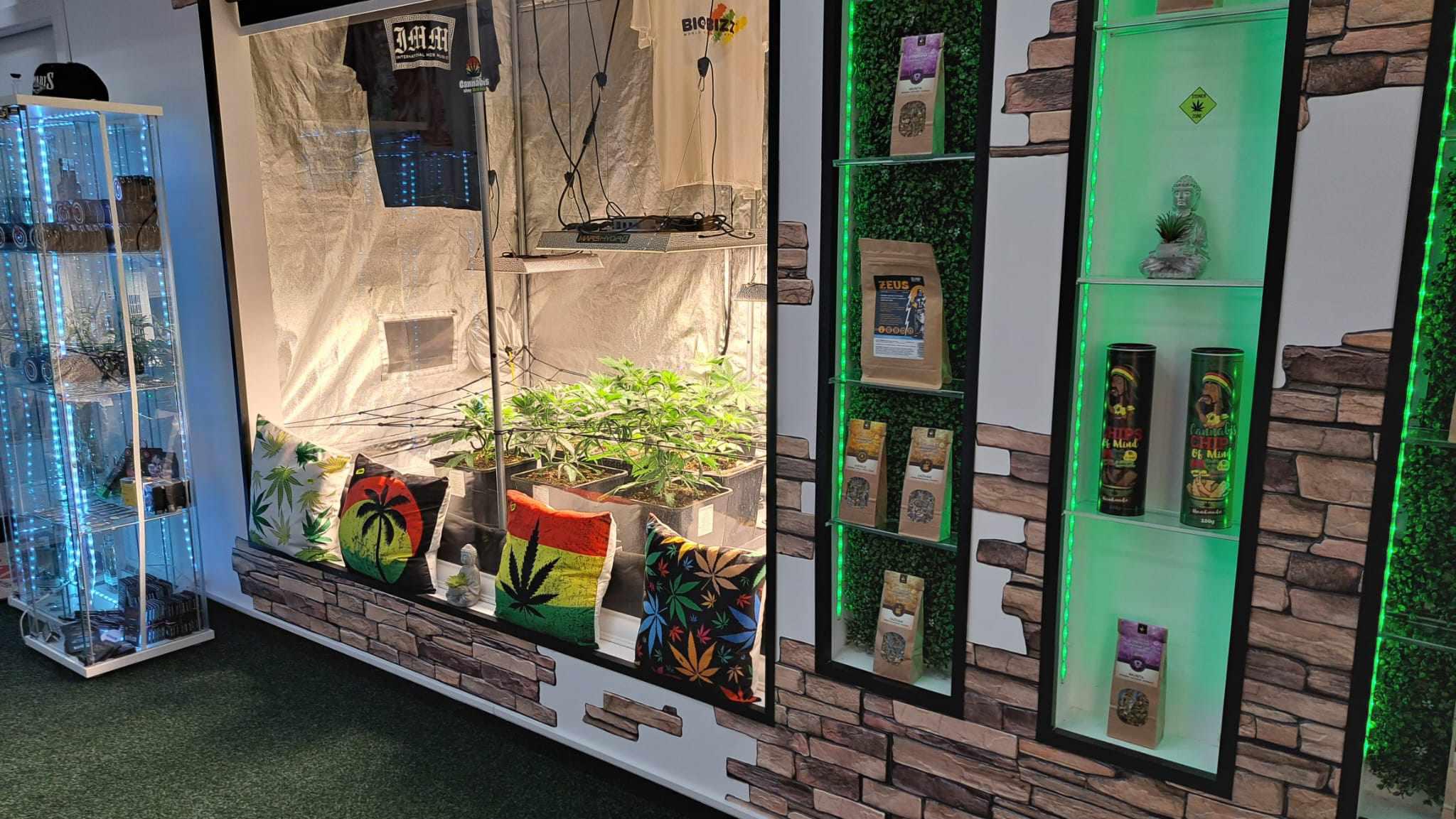 Cannabis Shop No.2 Ostrava foto 4