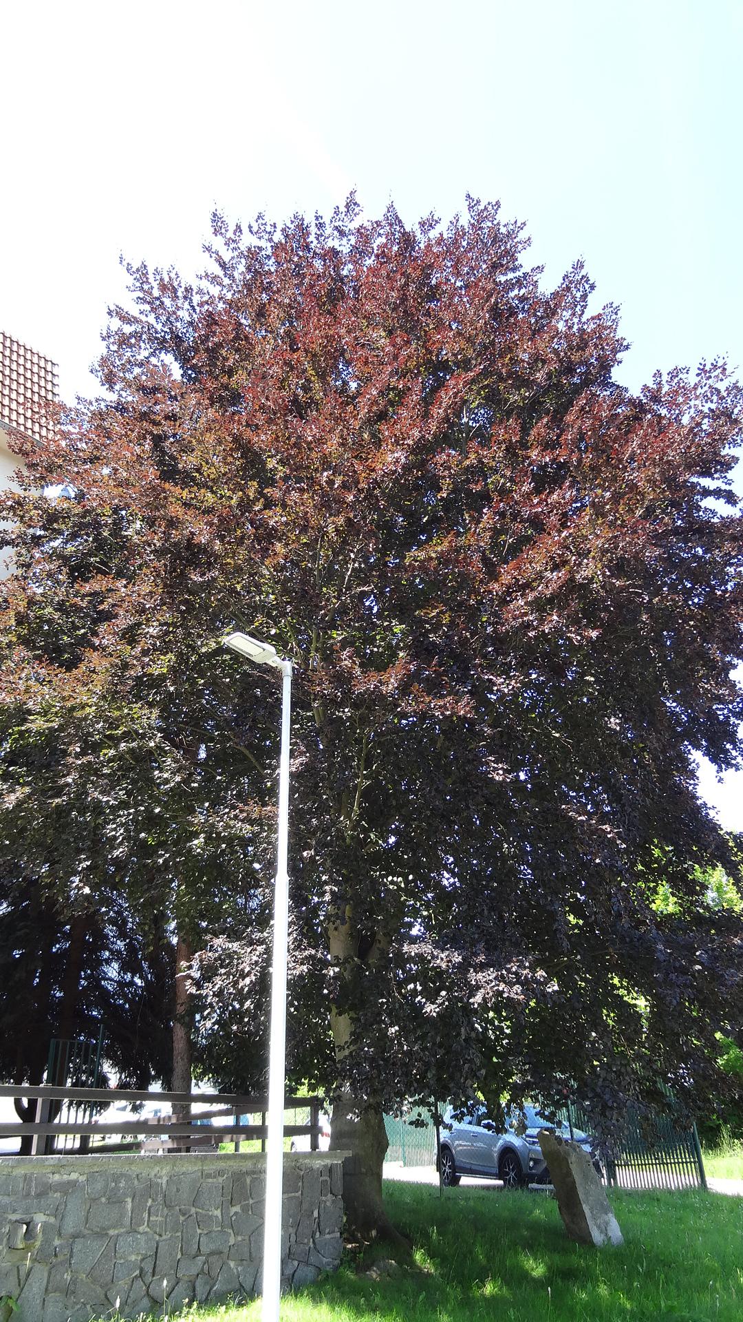 Ústav pro státní kontrolu veterinárních biopreparátů a léčiv foto 6