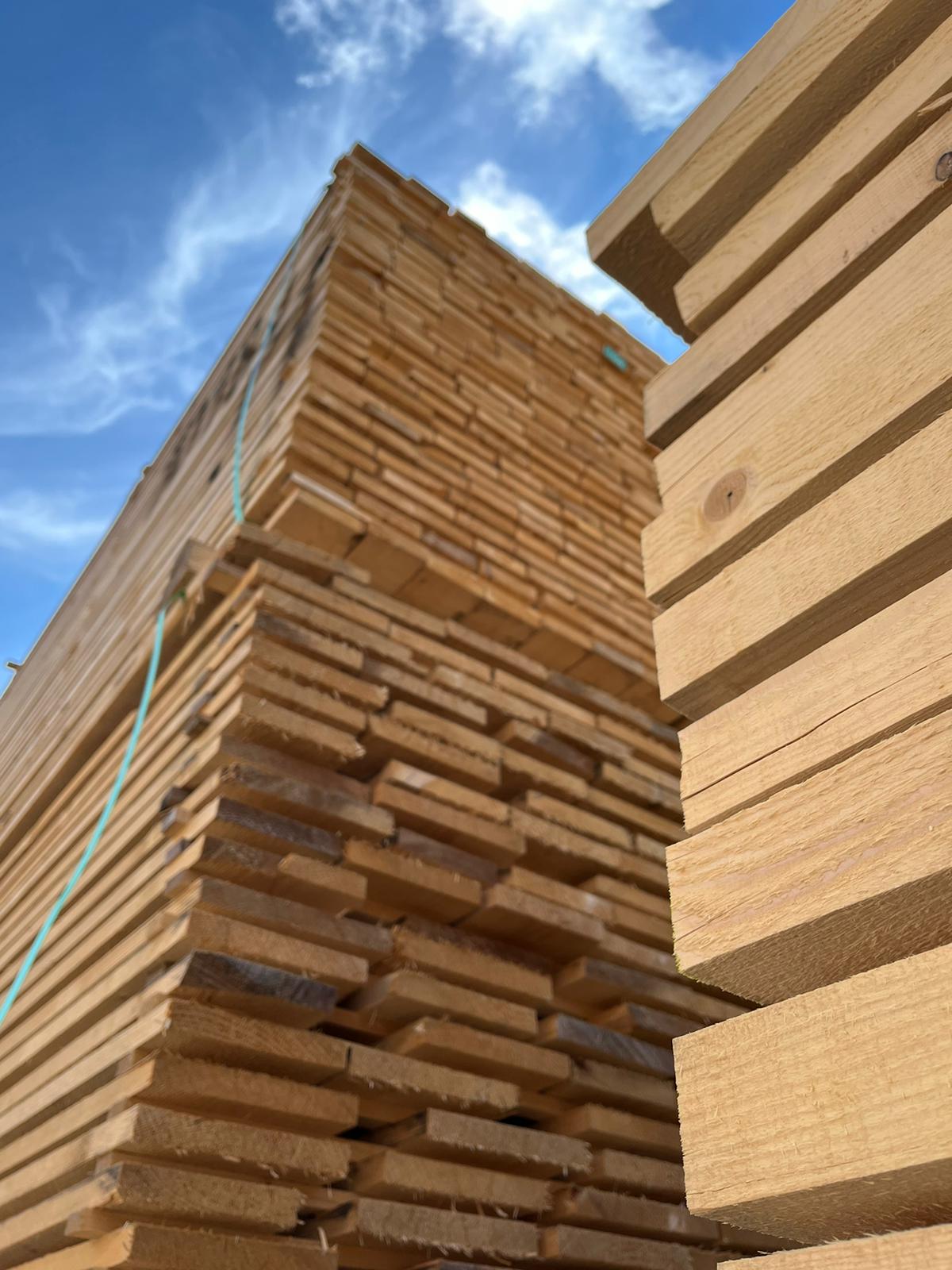 Dřevocentrum CZ foto 5