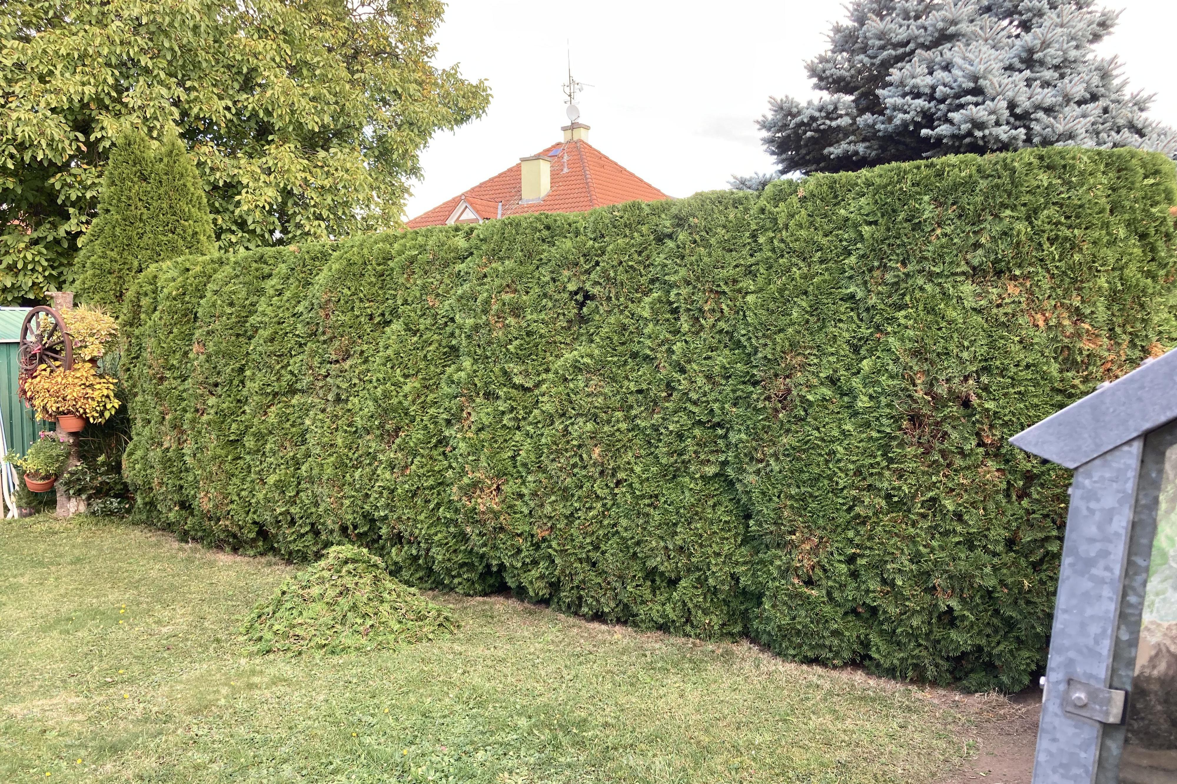 Údržba zahrad a živých plotů