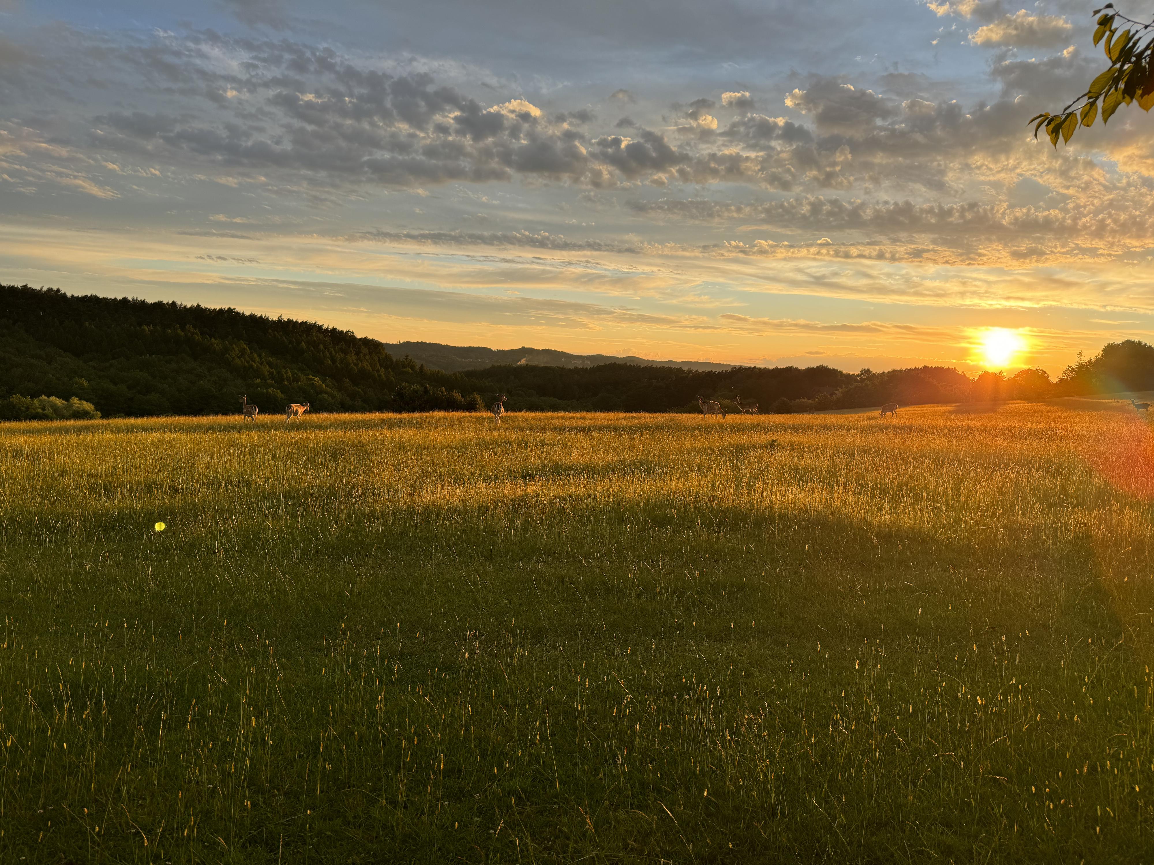 BezKempu U Dančí obory foto 4