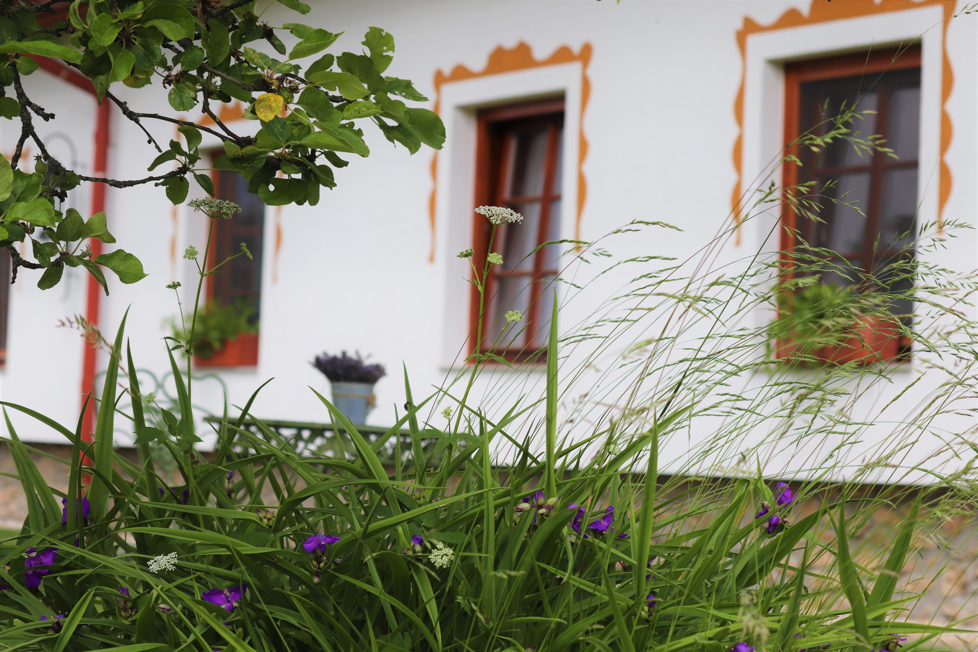 Hájenka Hradiště foto 2