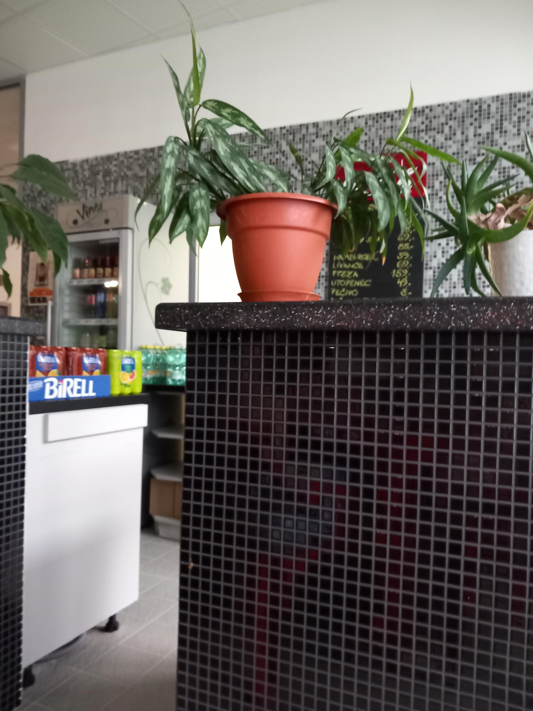 Centrum vodní zábavy Kdyně foto 6