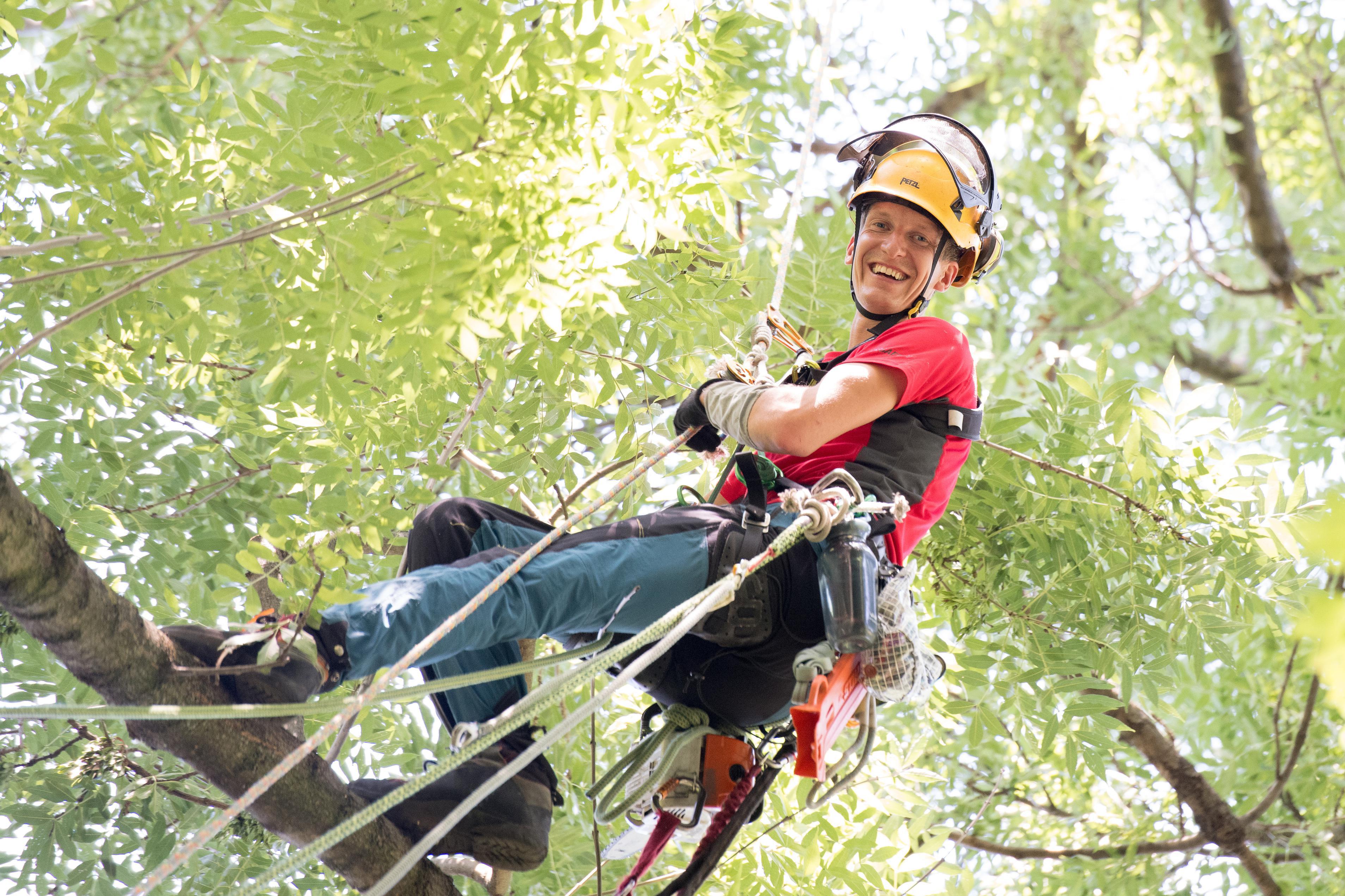 ProCarePlant s.r.o. - arboristika foto 1