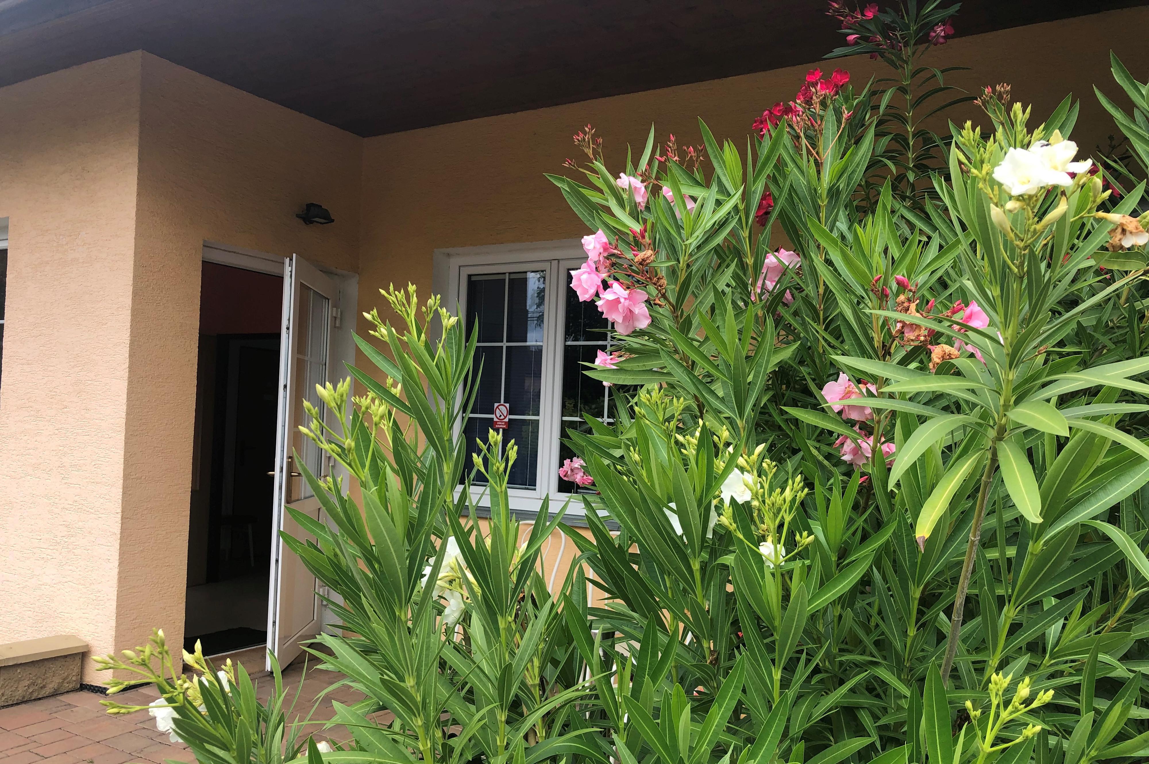 Tomáš Brynda Masáže