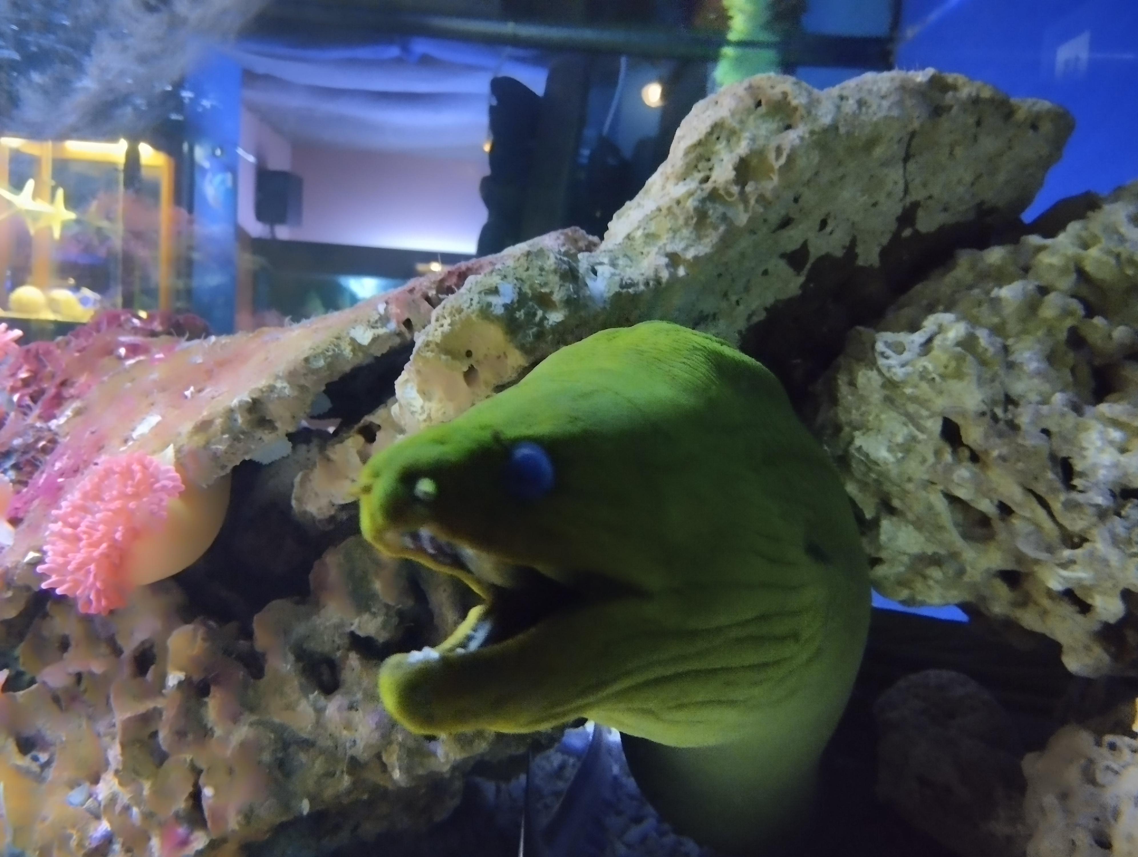 Svět pod hladinou foto 2