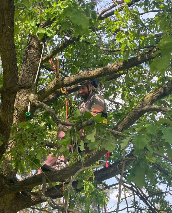 David Bárta Výškové práce foto 3