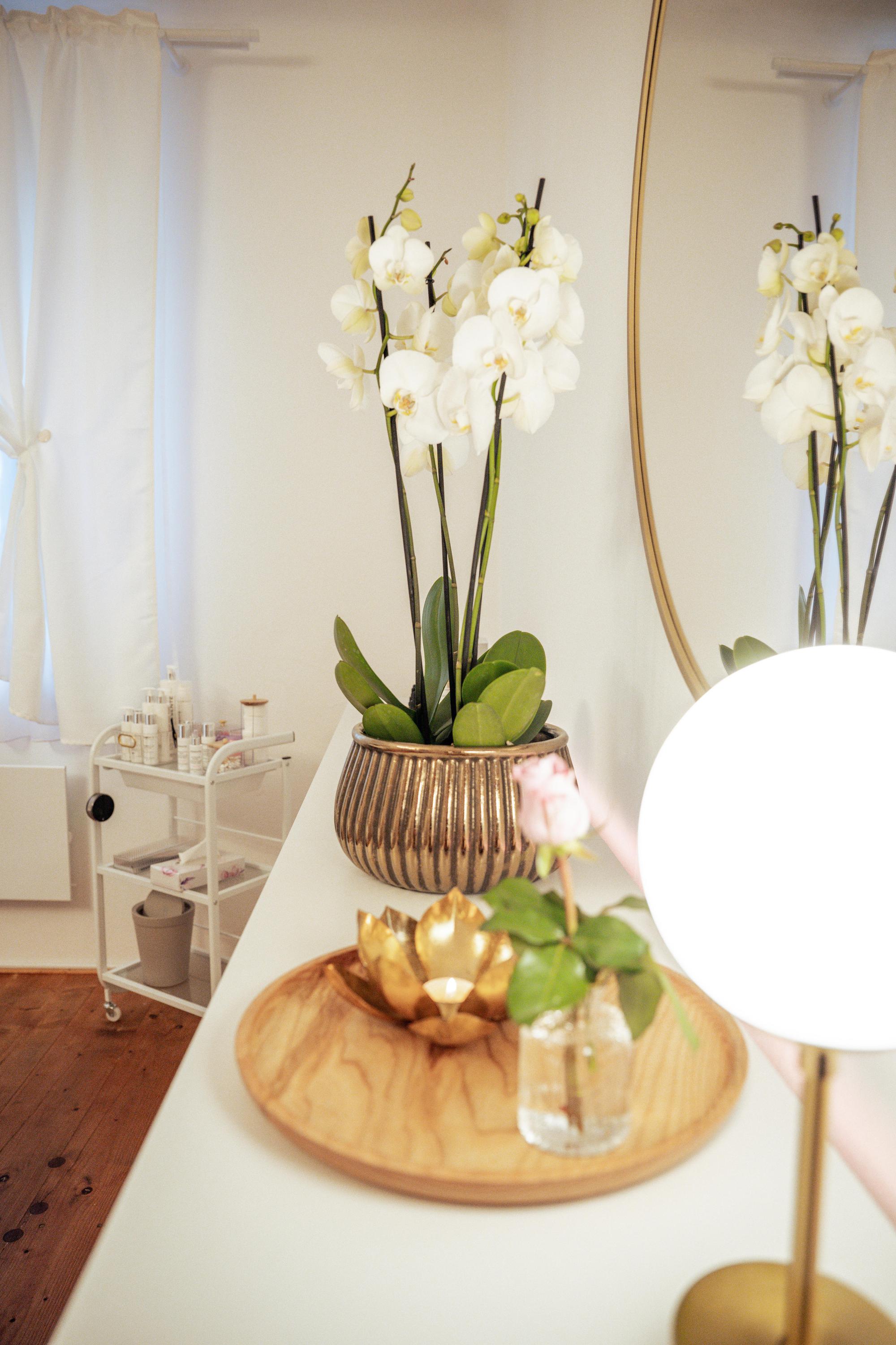 Salon Alnisi, kosmetika a masáže foto 4