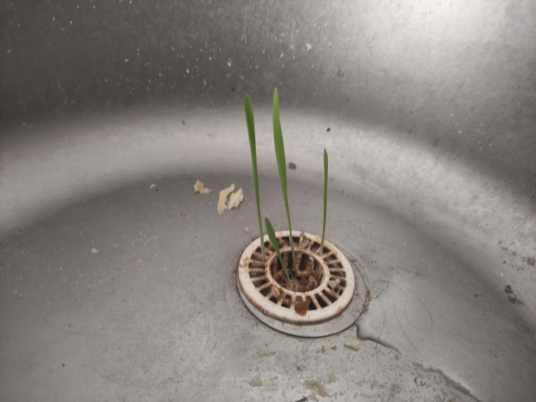 Petra Obereiterová - Kýbl s Vodou foto 3