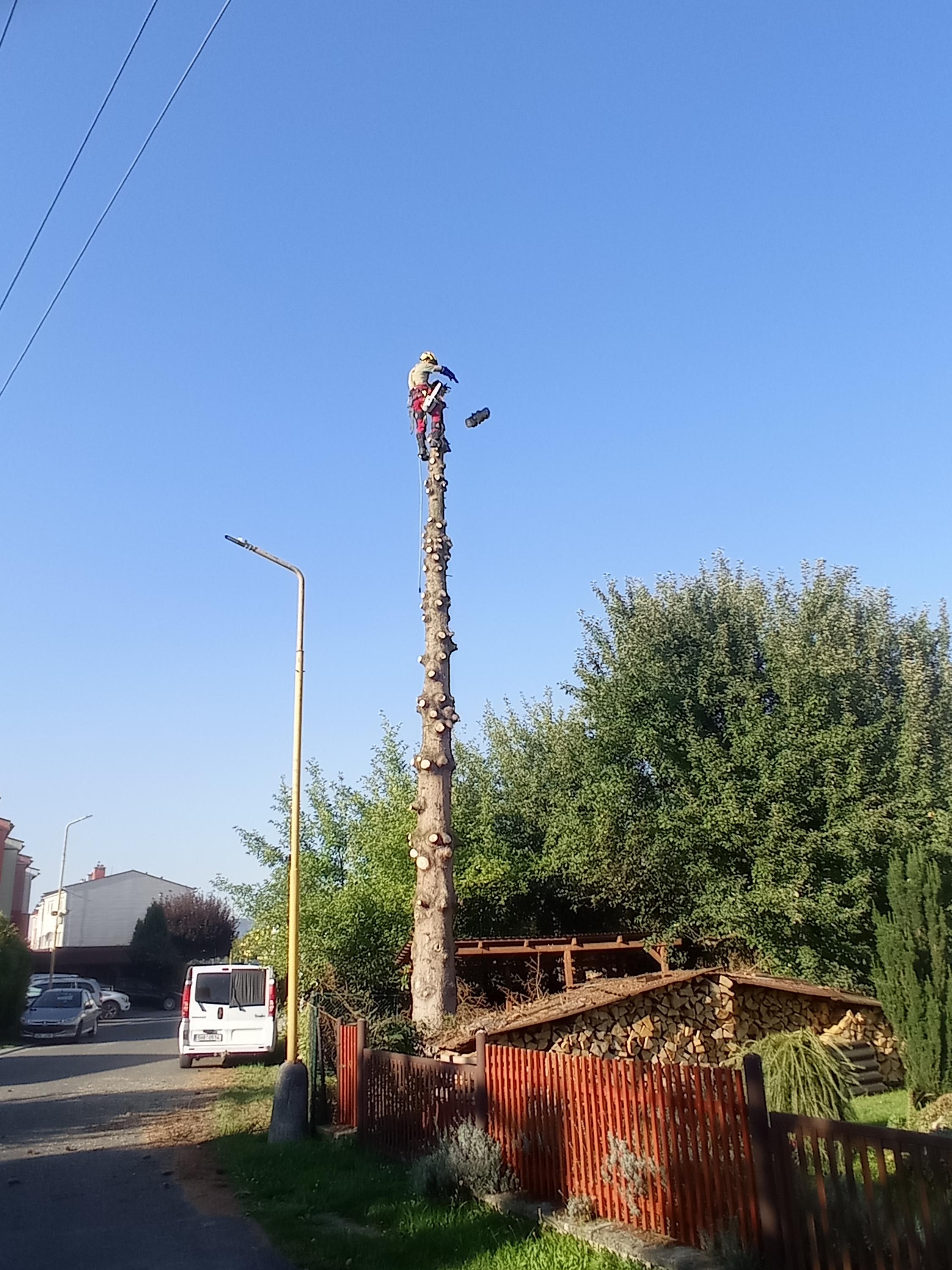 OKzeleň foto 6