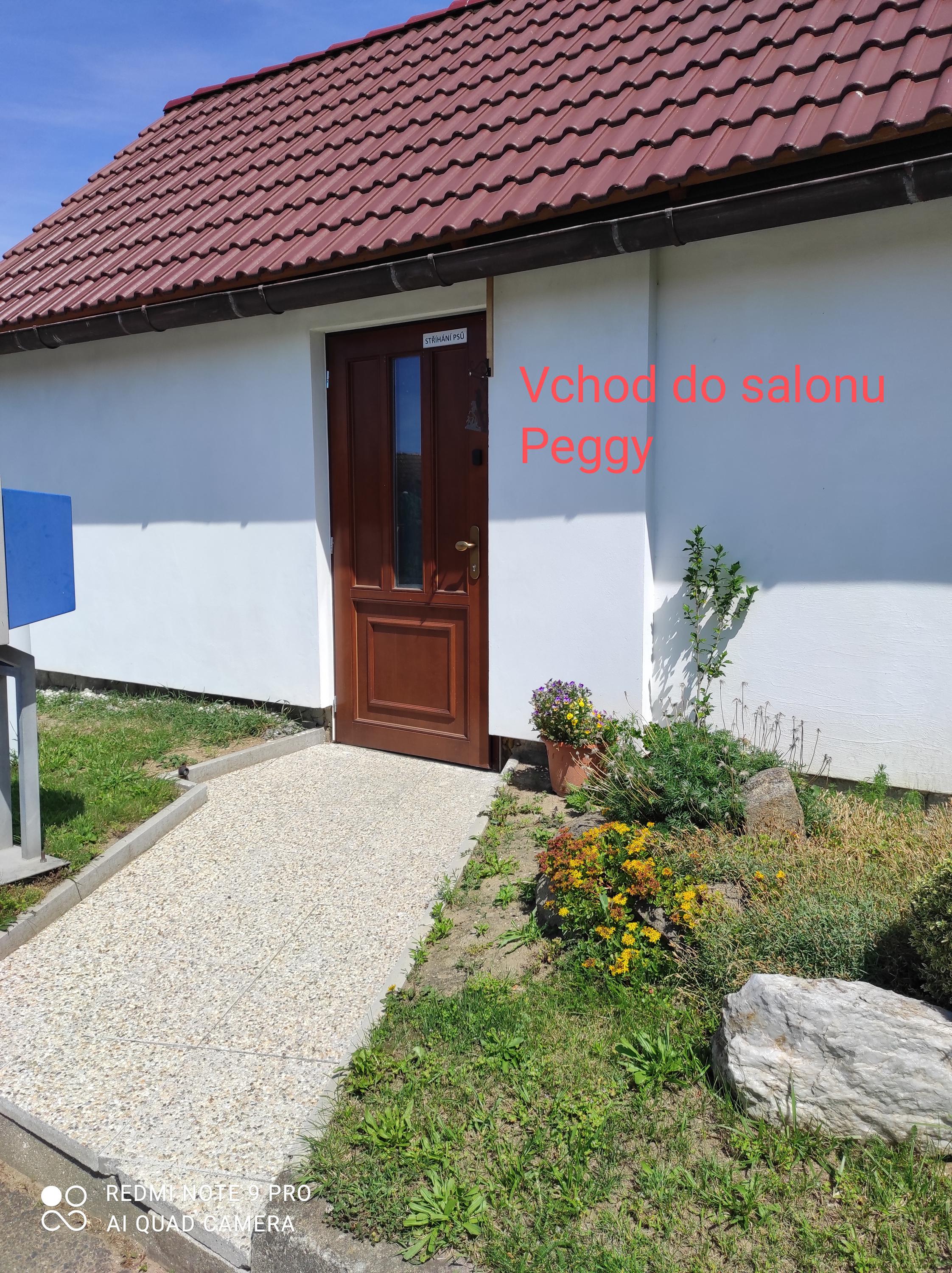 Psí salón PEGGY foto 3