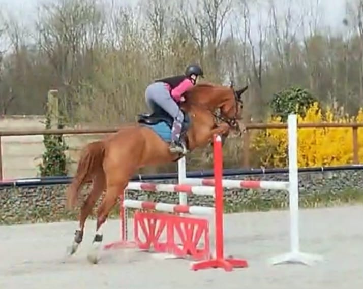 Jezdecký klub Caballero foto 6