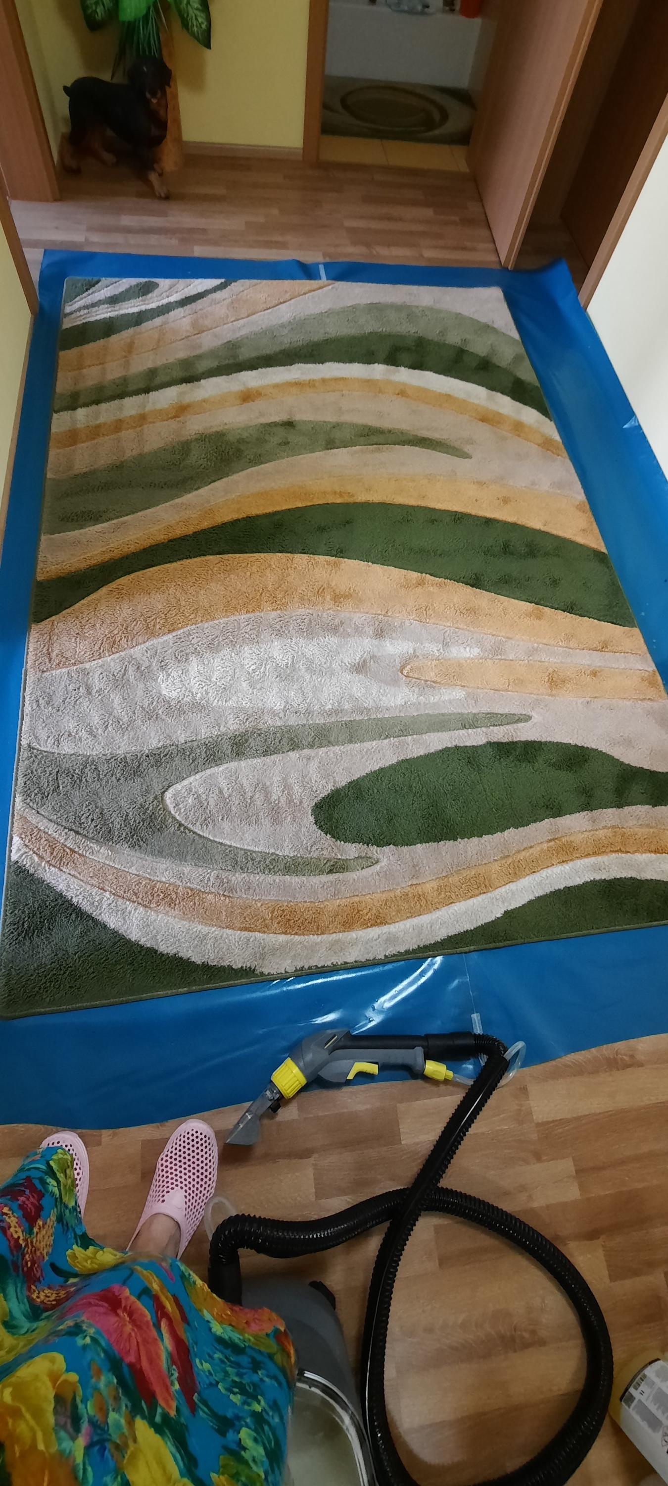 Čištění koberců - Taras Khotskyi foto 2