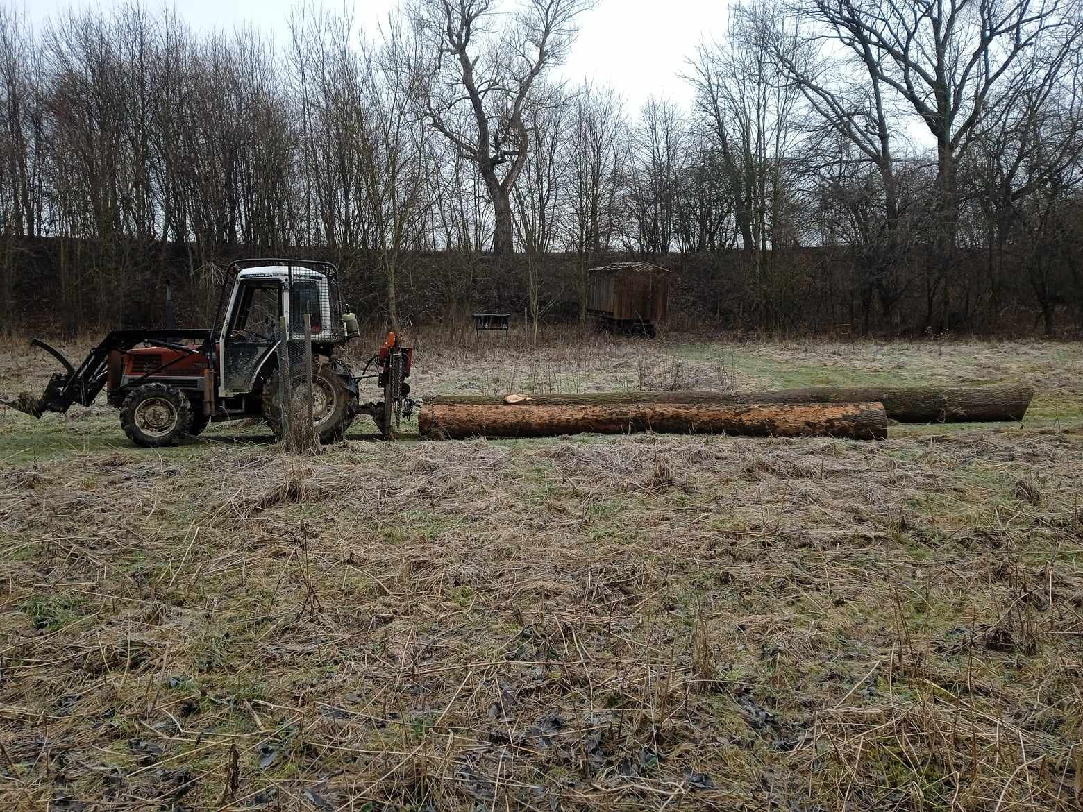 Lesní práce Zdenek Pokusa