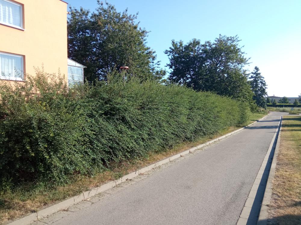 Michal Košulič foto 3