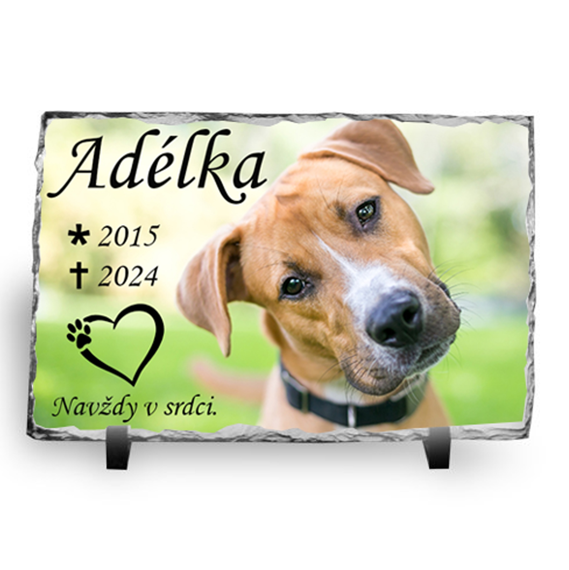 Věčnýklid.cz - Váš partner pro vzpomínky foto 2