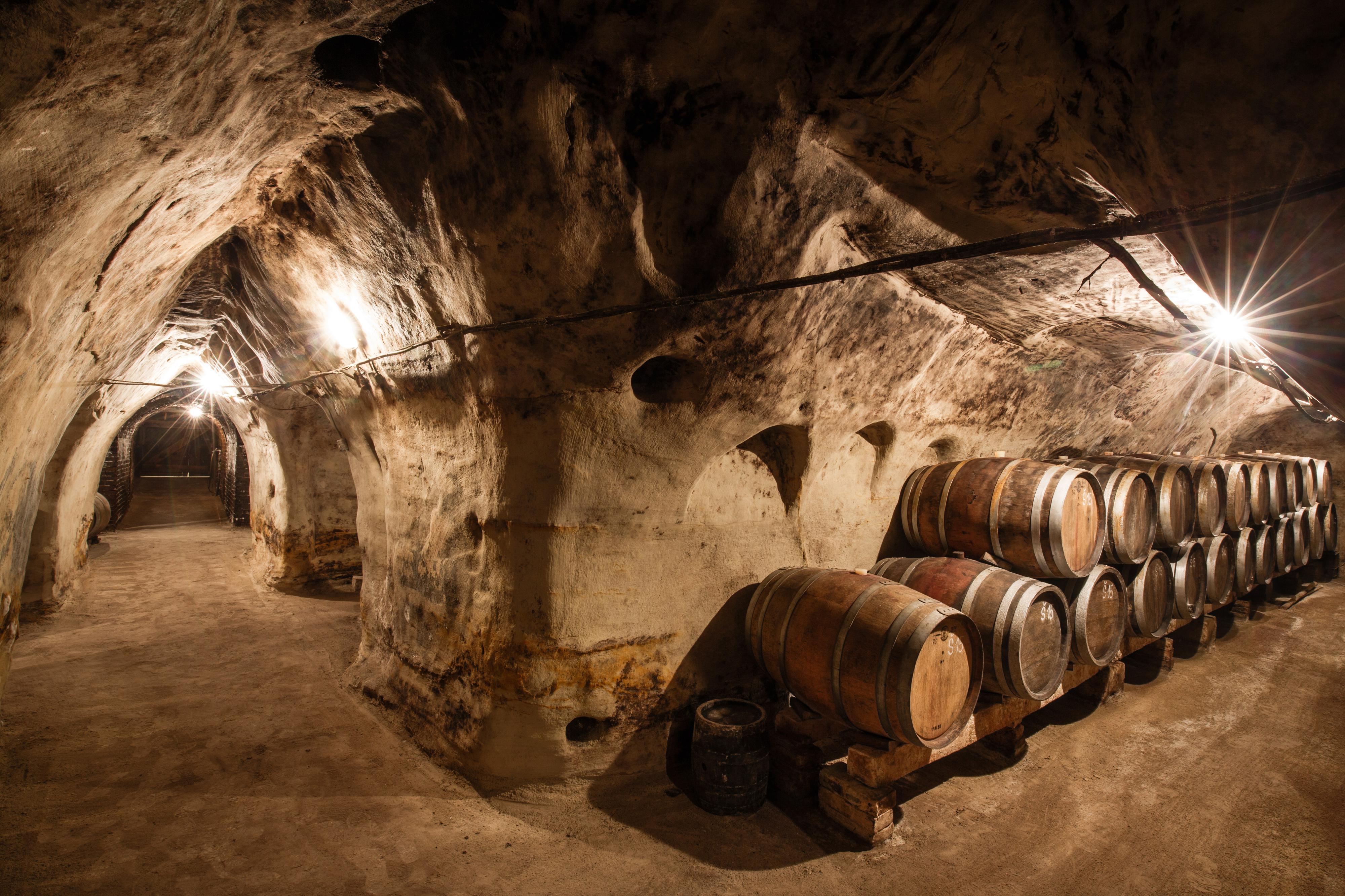 Vinařství Špalek foto 2