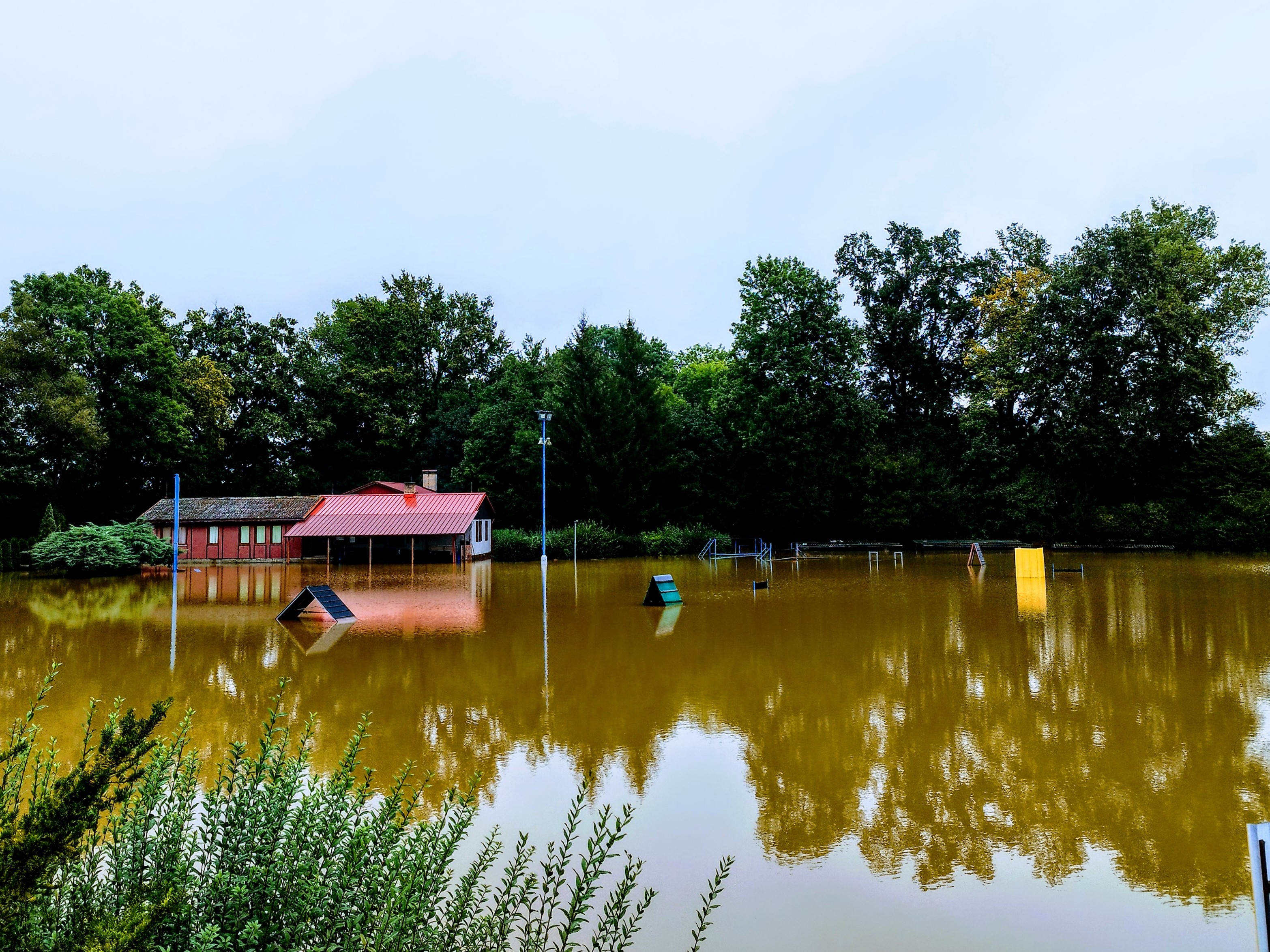 Český kynologický svaz základní kynologická organizace Pardubice - Nemošice 091 foto 2