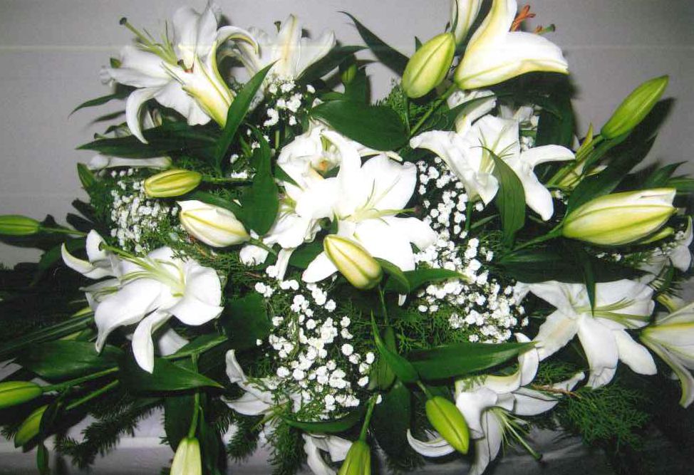 POHŘEBNÍ ÚSTAV MUSIL JAROSLAV, s.r.o. foto 3