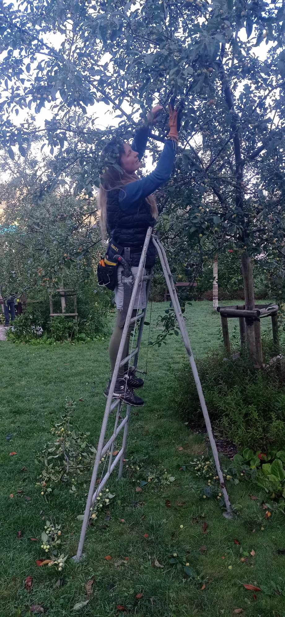 Zahradní práce Ludmila Aubrechtová foto 1