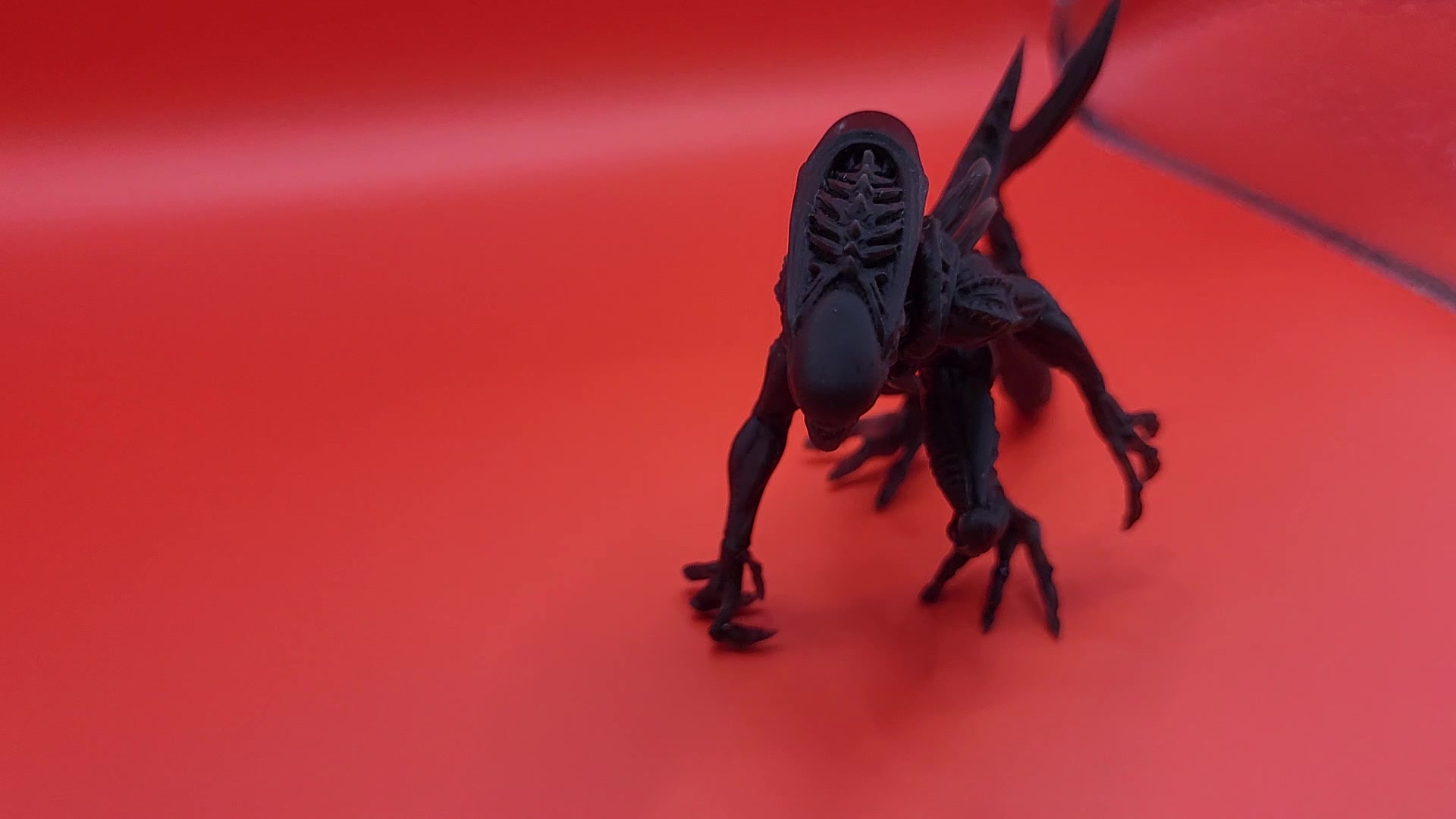3D Tisk Ježek foto 2 (náhled videa)