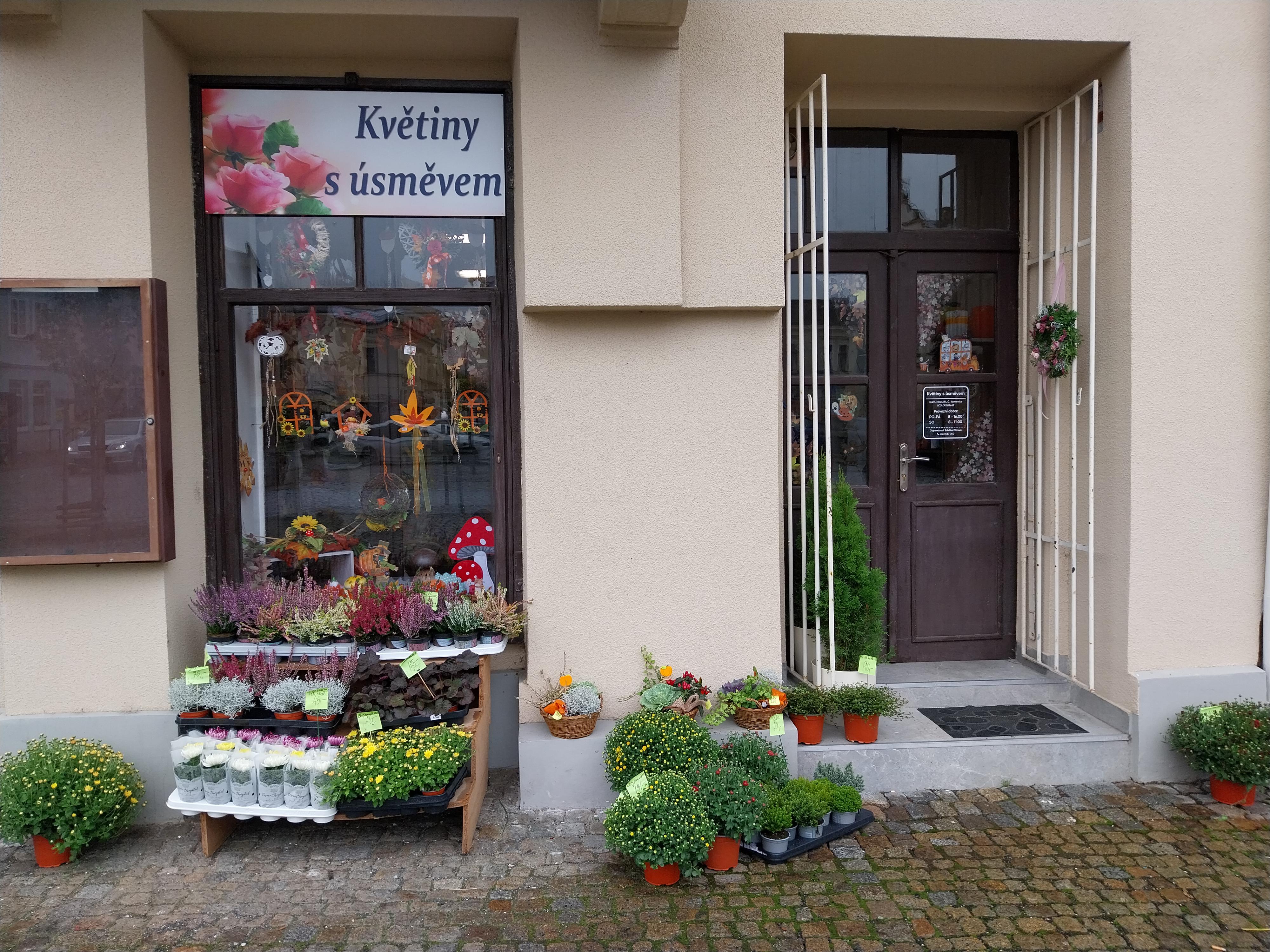 Zdeňka Křížová - Květiny úsměvem foto 1