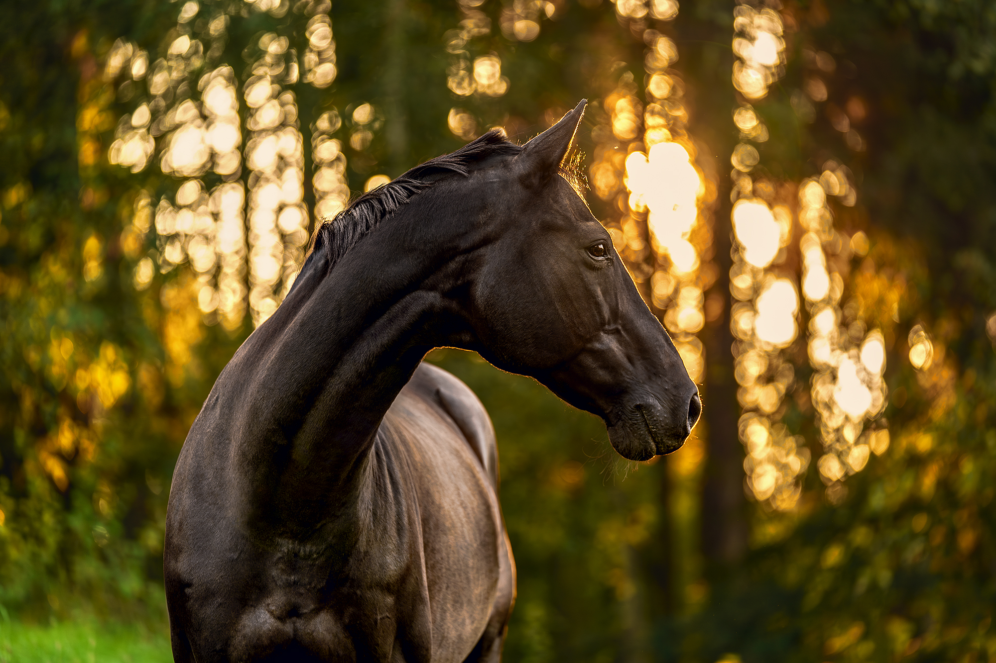 Klara_w_photo foto 1