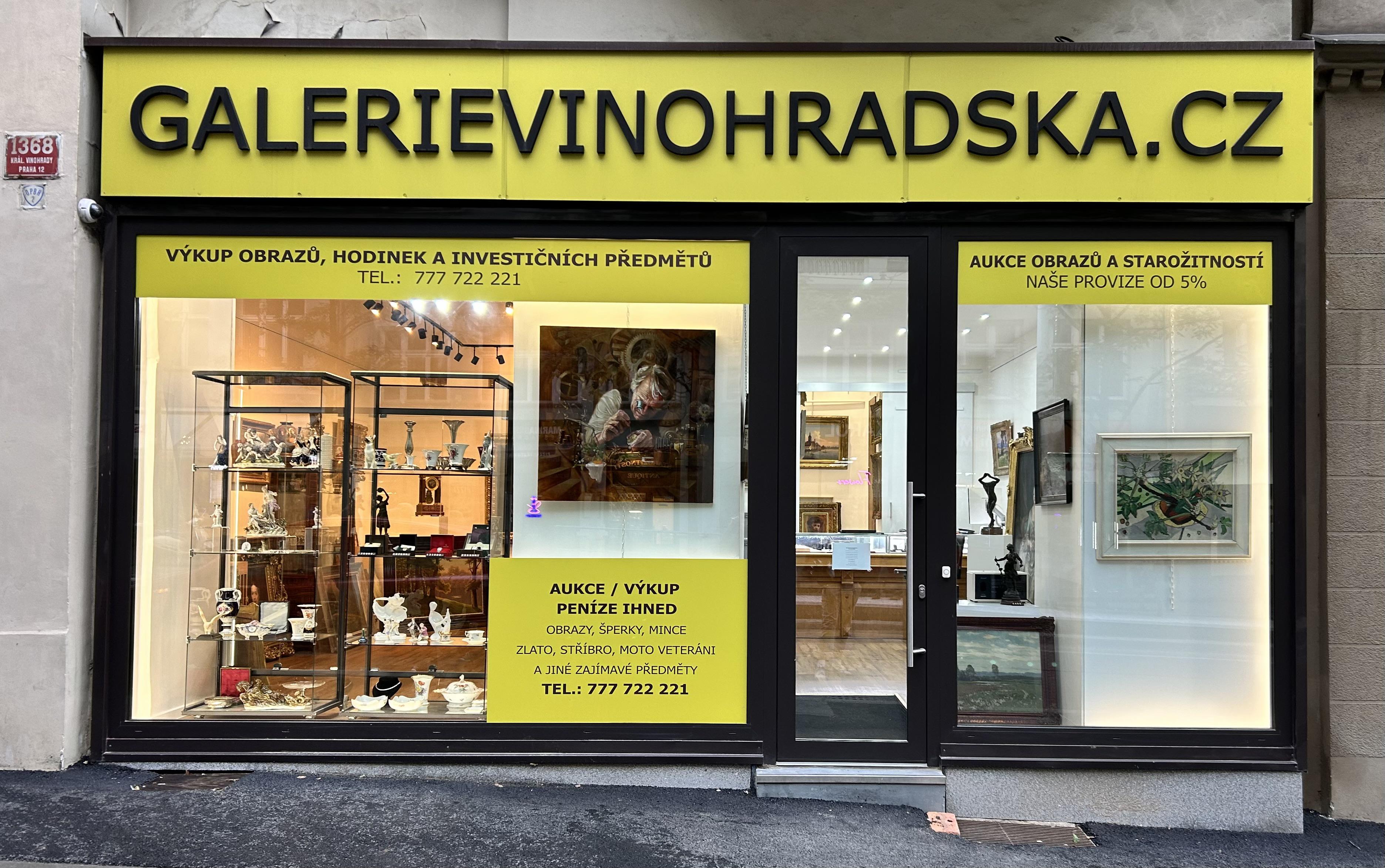 Galerie Vinohradská.cz foto 2