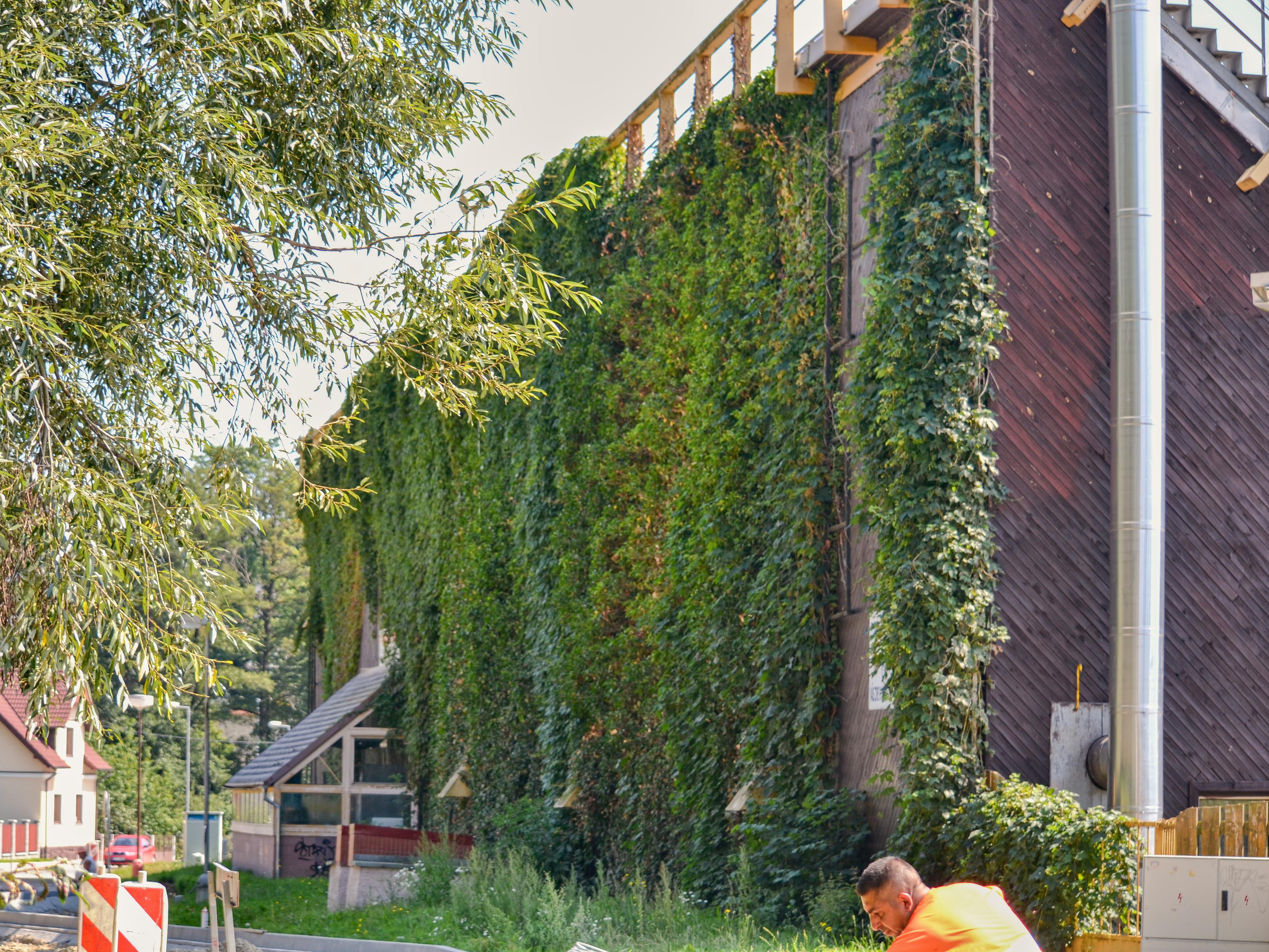 Plavecký bazén a koupaliště Tachov foto 3