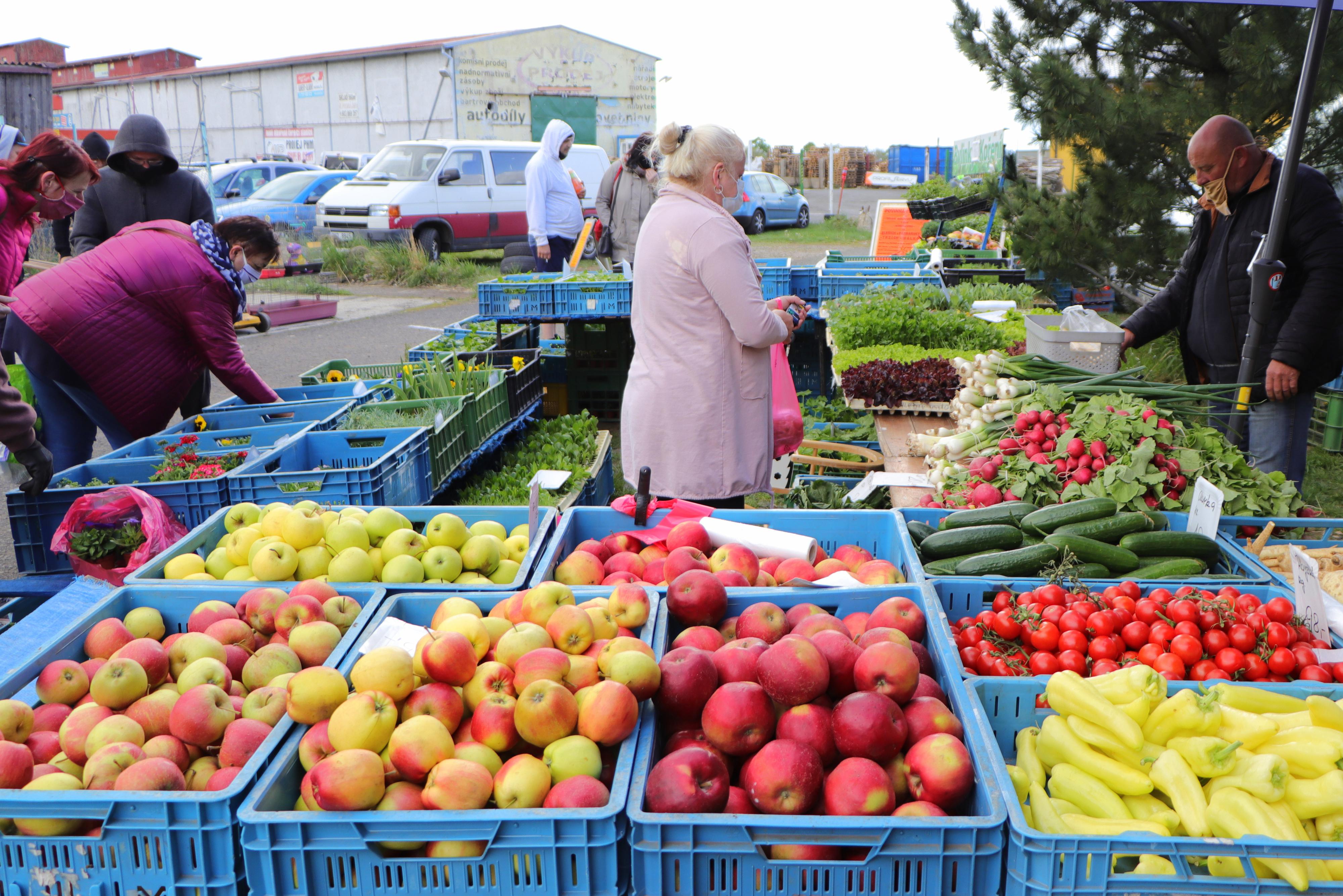 Bleší a farmářské trhy v Málkově u Chomutova foto 4