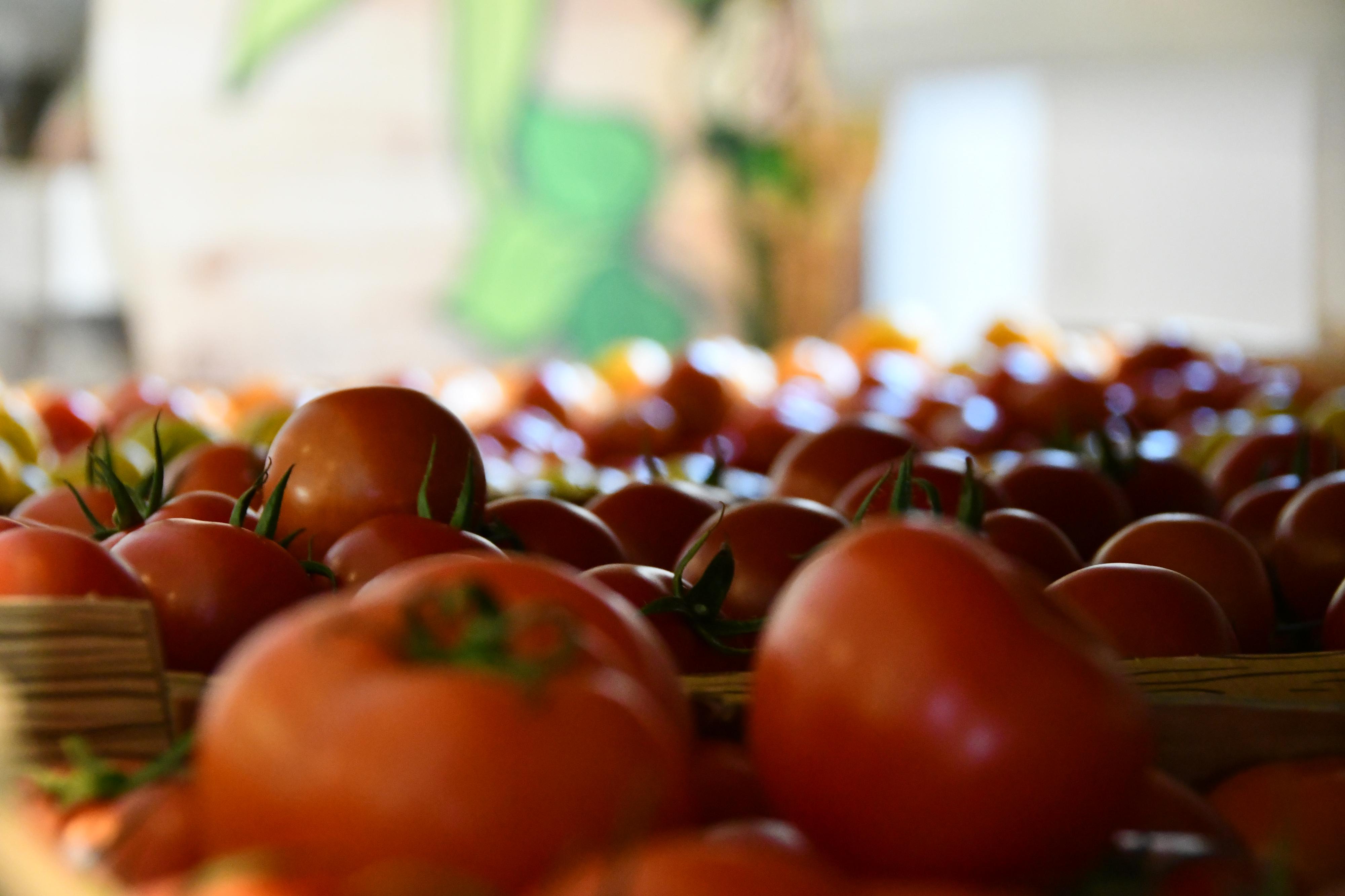 farmanadosah.cz foto 3