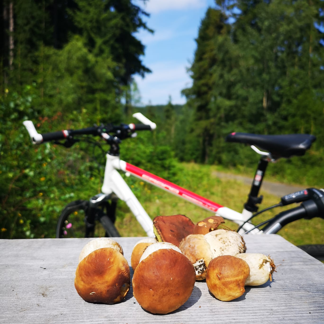 Turnovská chata foto 2