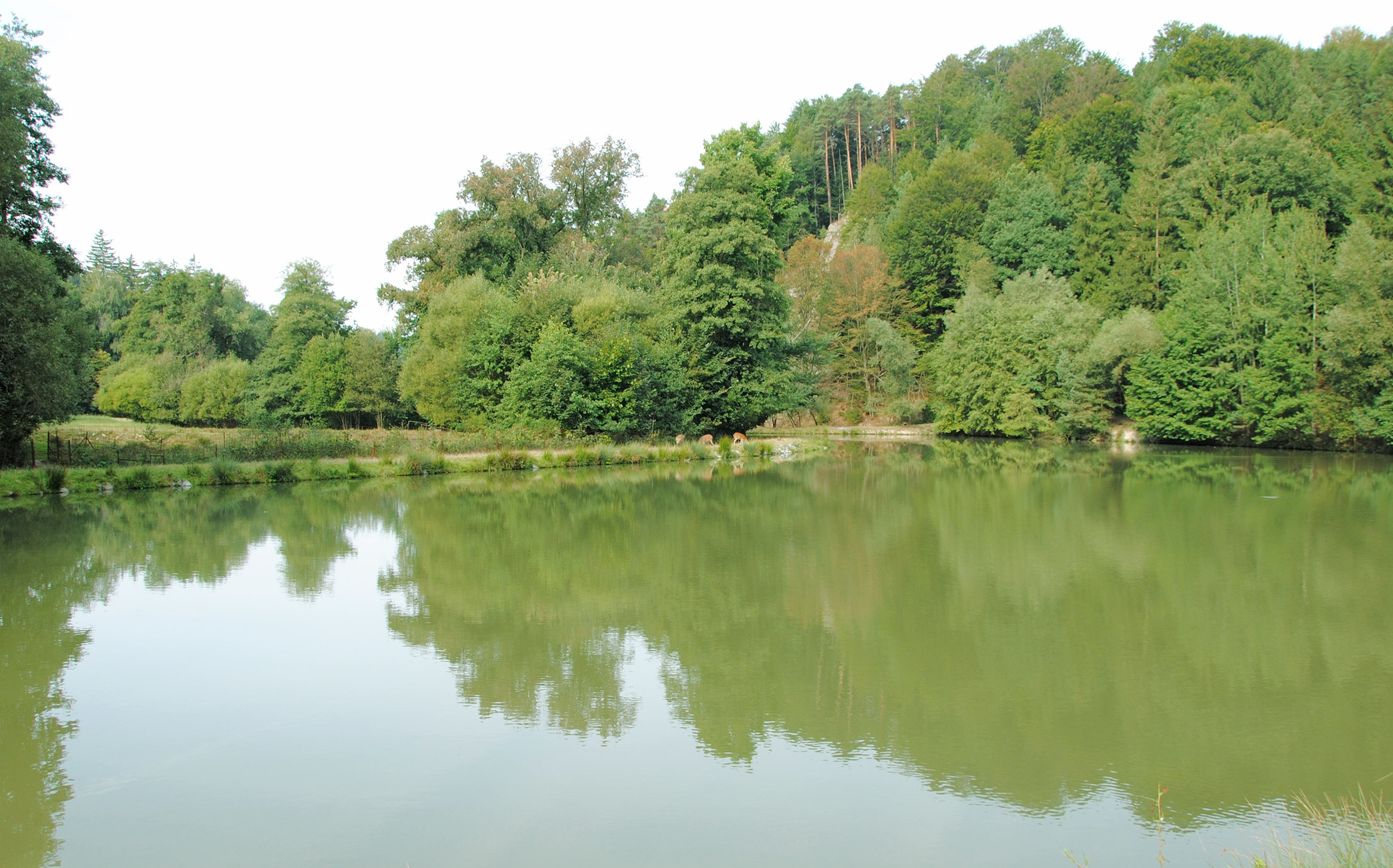 Pstruhová farma Polanka foto 2