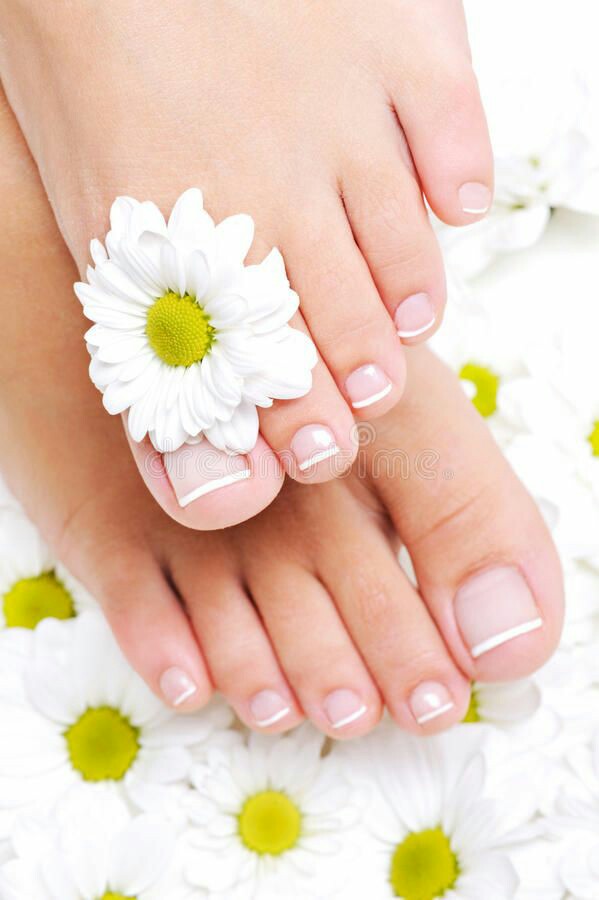 Petra Fischer foto 2