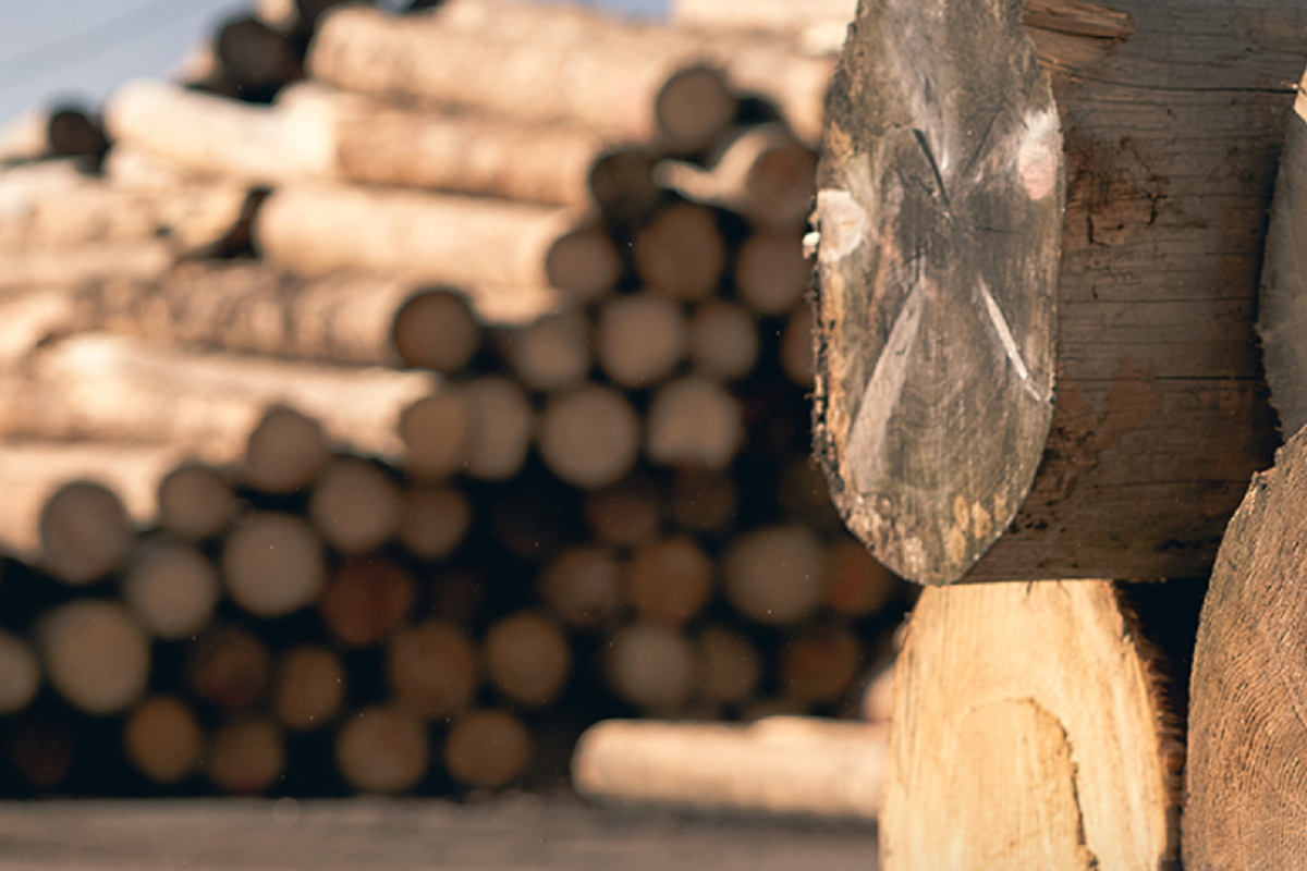 BIOMAC s.r.o. foto 2