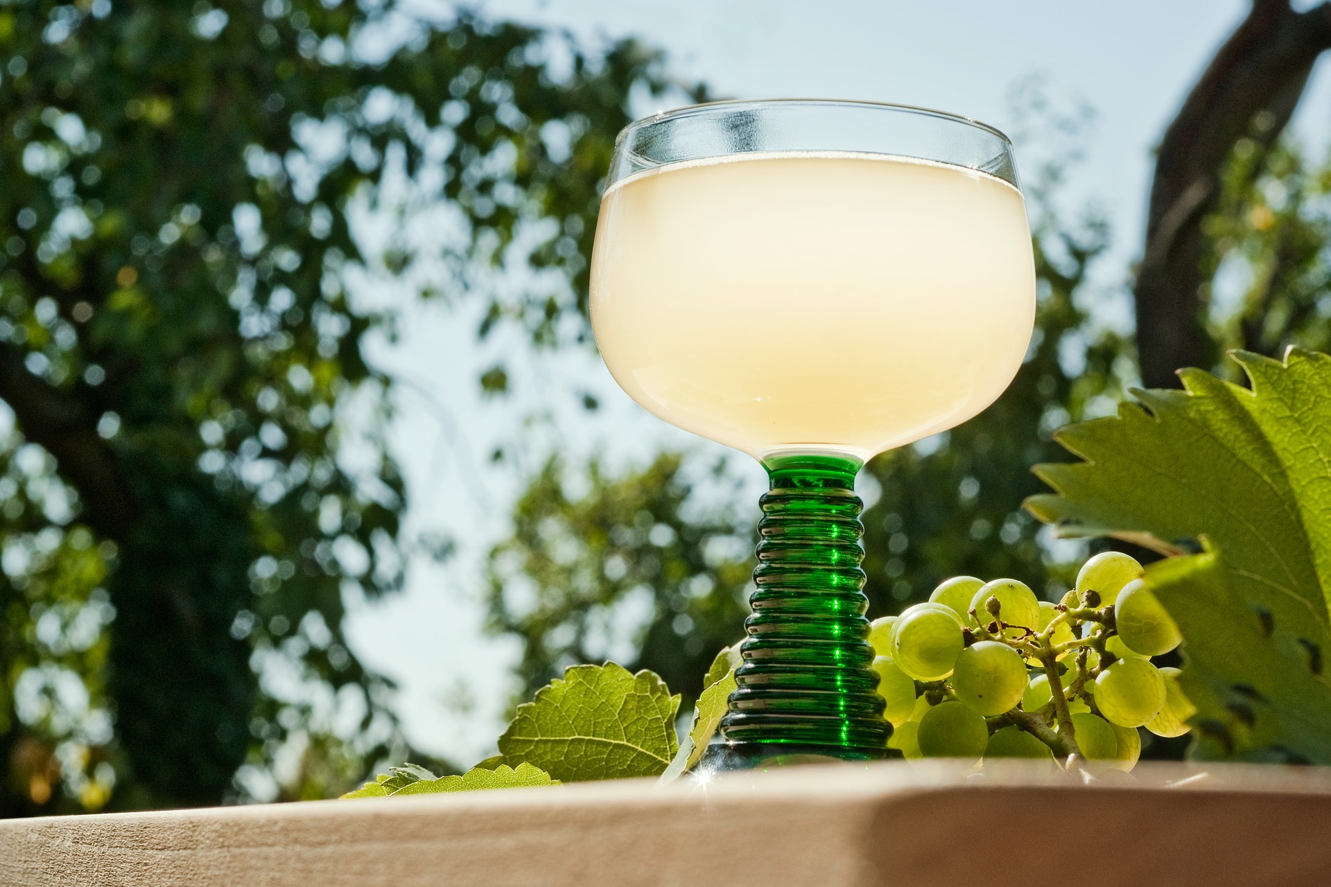 Vinobraní a wellness víkend