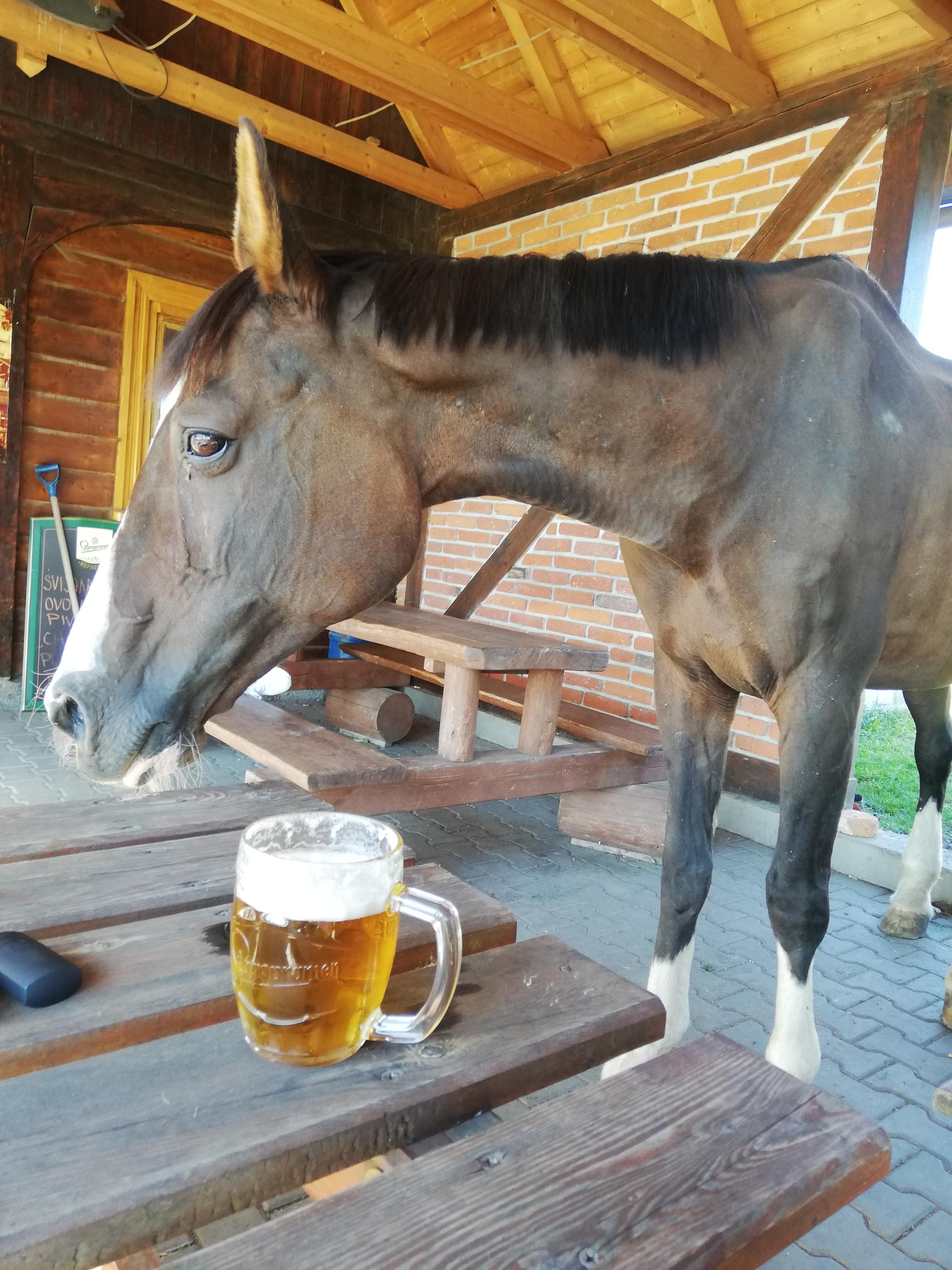 Country club Konírna foto 3